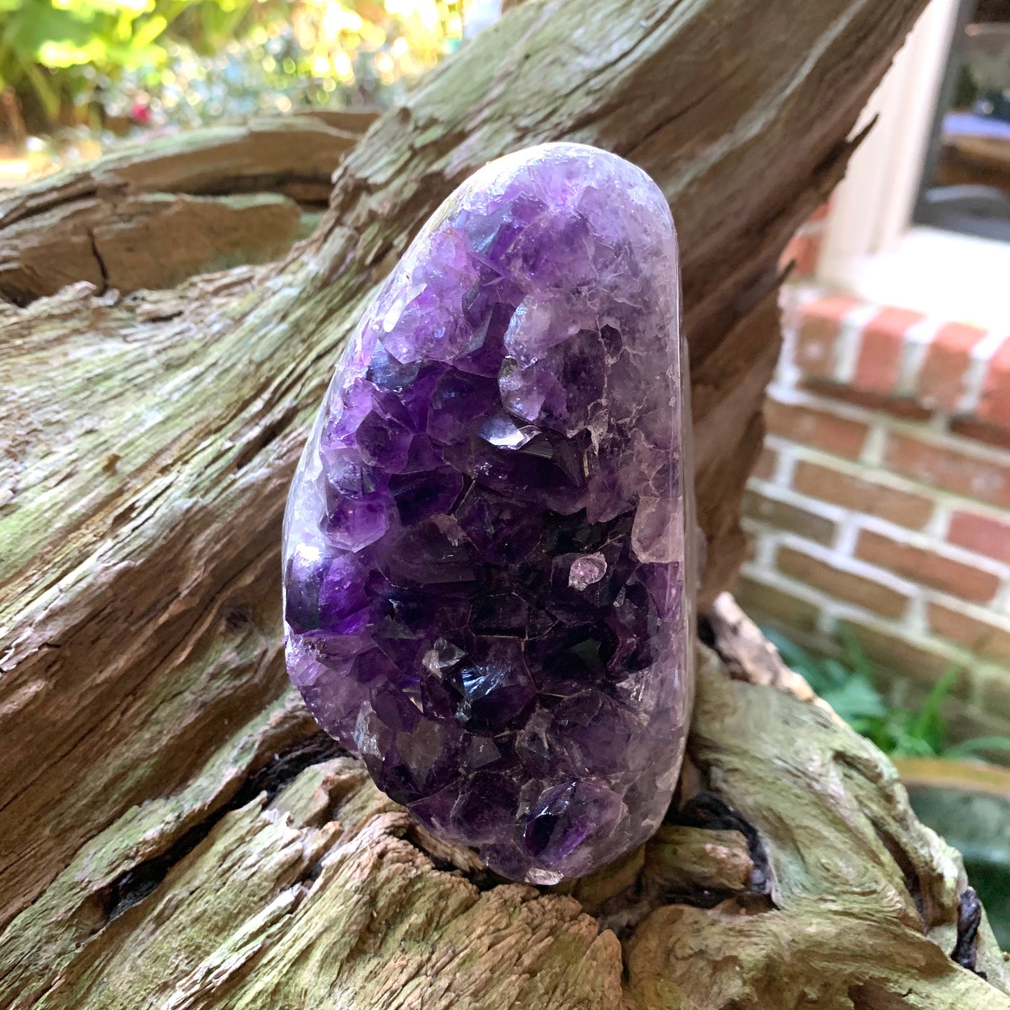 Half Polished Amethyst 990g 2lb 3oz Geode Specimen Brazil Reiki Chakra Healing
