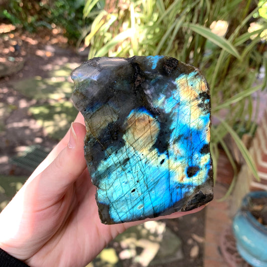 Half Polished Polished Labradorite Free Form 555g From Madagascar