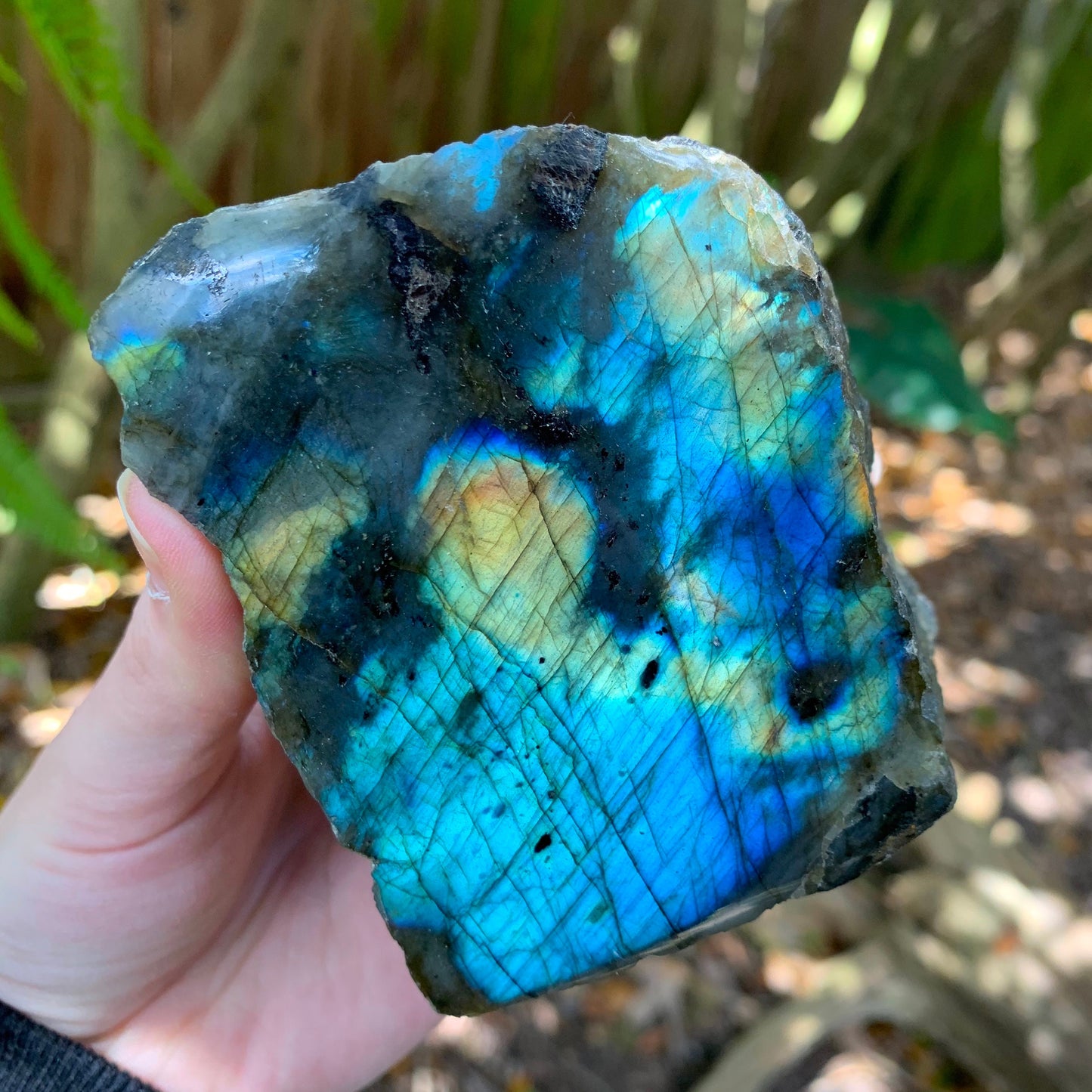 Half Polished Polished Labradorite Free Form 555g From Madagascar