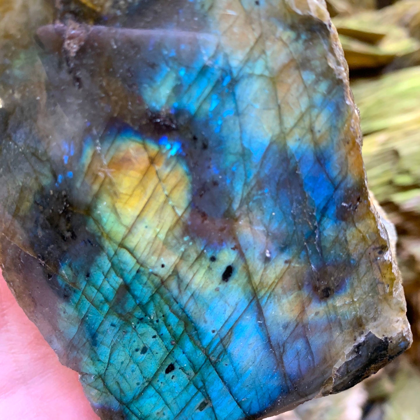 Half Polished Polished Labradorite Free Form 555g From Madagascar