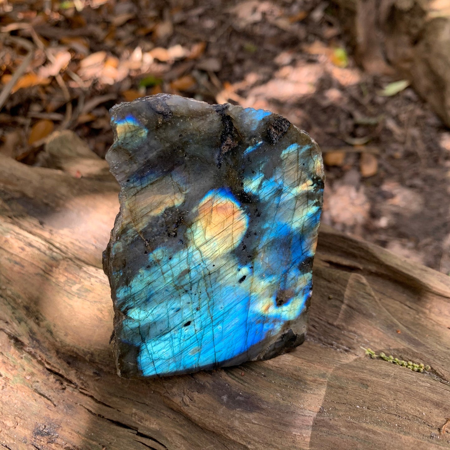 Half Polished Polished Labradorite Free Form 555g From Madagascar