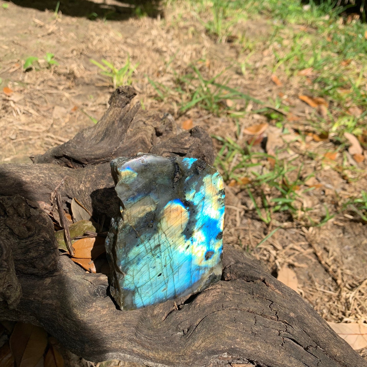 Half Polished Polished Labradorite Free Form 555g From Madagascar
