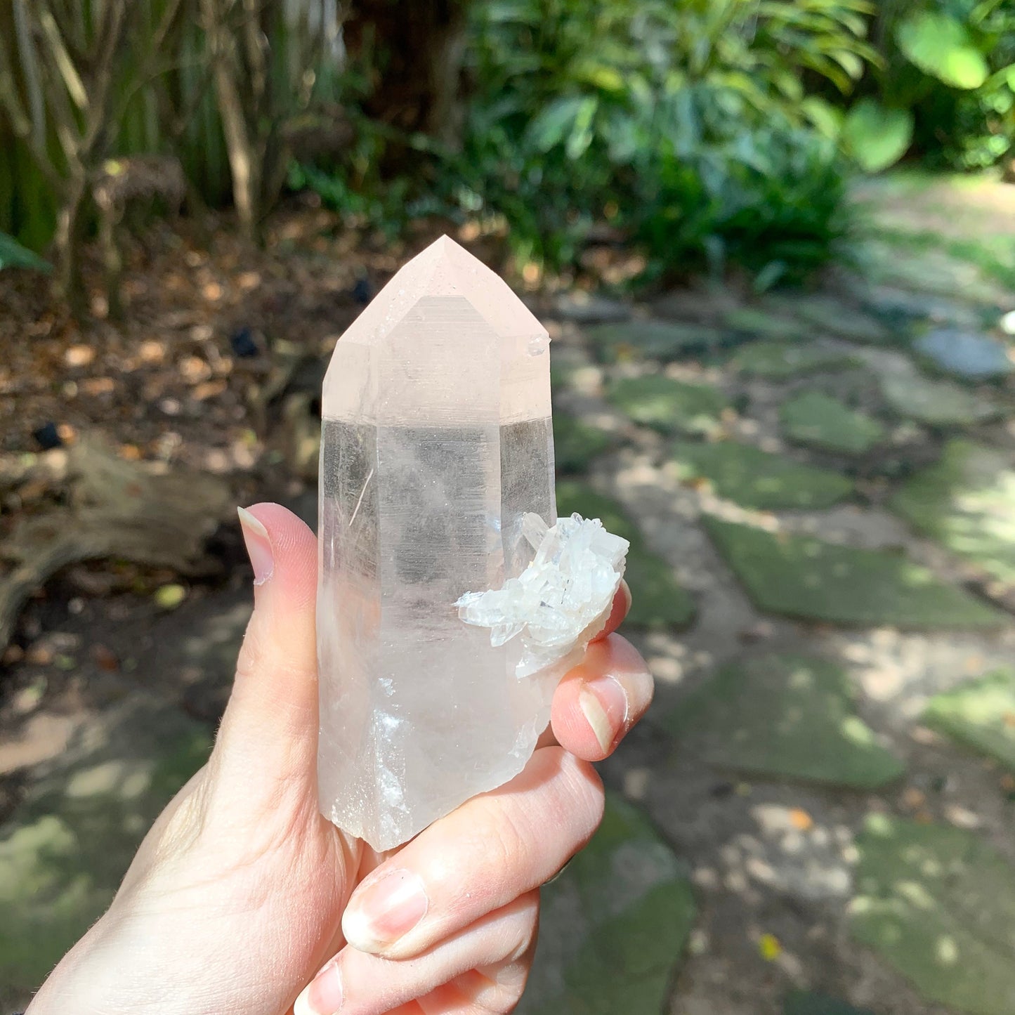 Semi Water Clear Quartz Point From Mount. Ida Montgomery Co, Arkansas 236g Specimen