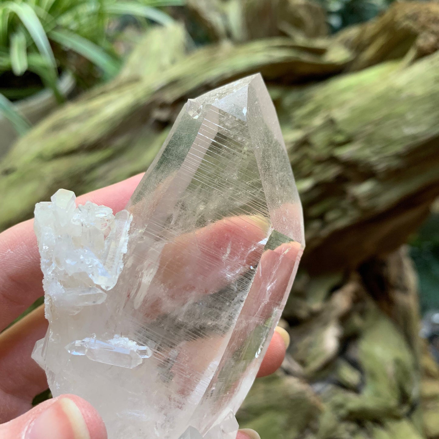 Semi Water Clear Quartz Point From Mount. Ida Montgomery Co, Arkansas 236g Specimen