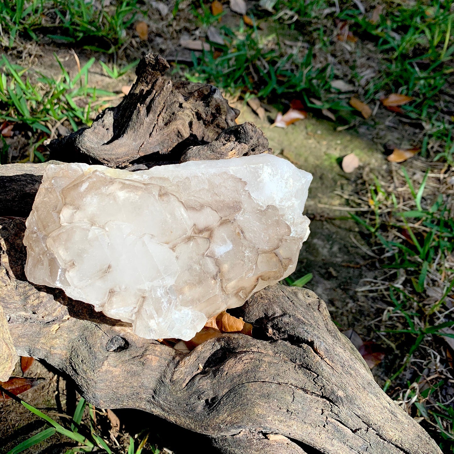 Smokey Elesital Quartz Specimen from Minas Gerais Brazil, 815g 1lb 12.8oz