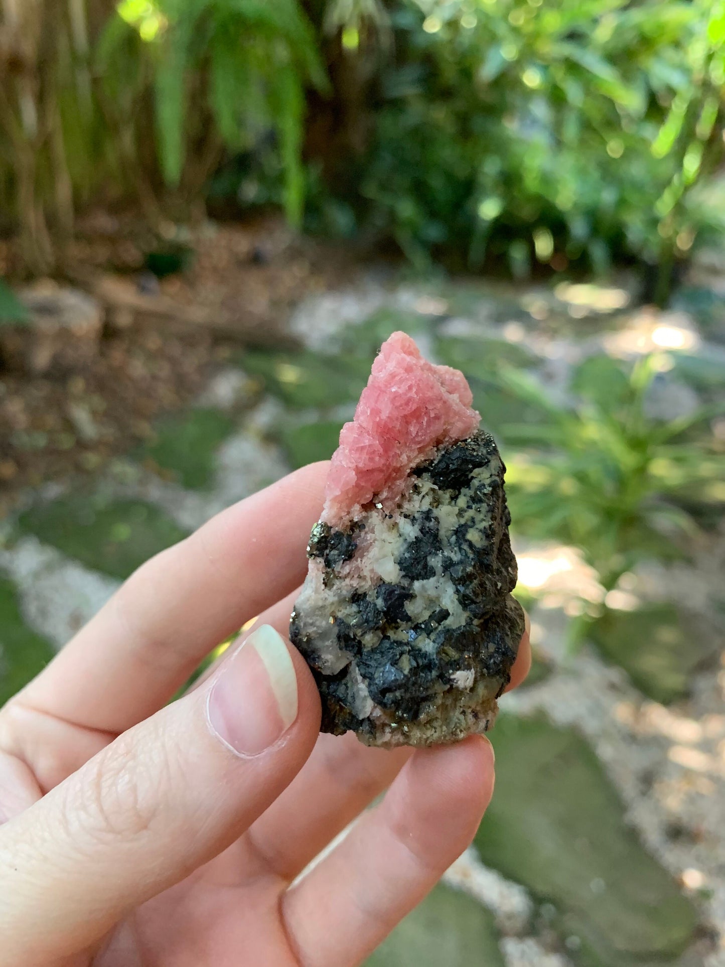 Rhodochrosite With Quartz and Pyrite 50.5g From Wuzhou, Guangxi Privinece, China Specimen