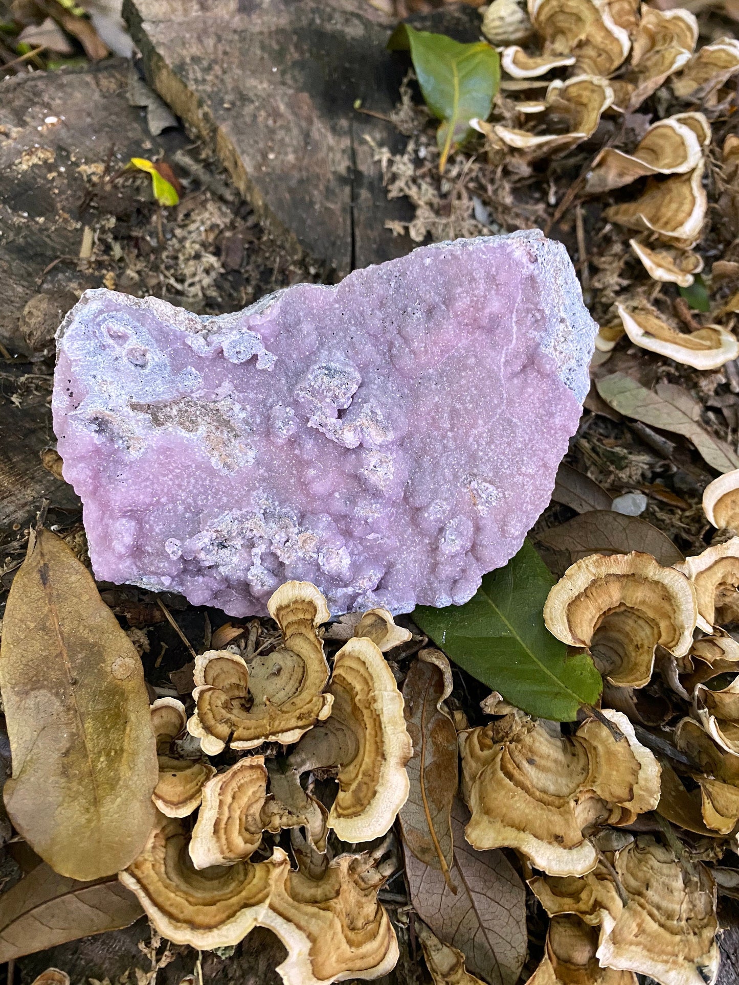 Light Pink and Purple Botryoidal Smithsonite 300g Specimen from Choix Sinaloa Mexico