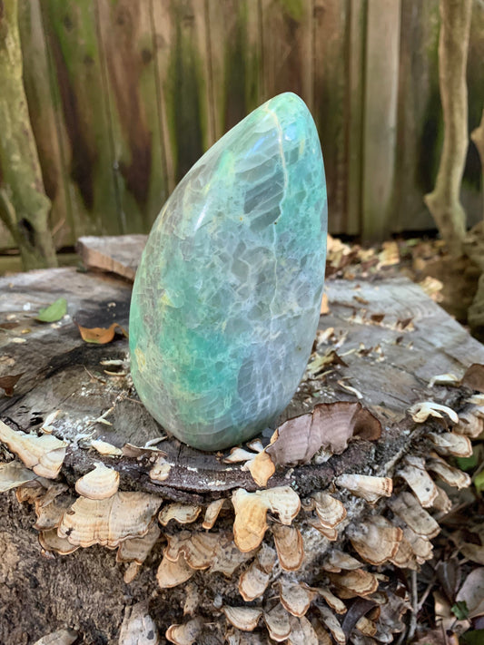 Polished Pale Green Garnierite Free Form 975g 2lbs 2.4oz From Madagascar Specimen