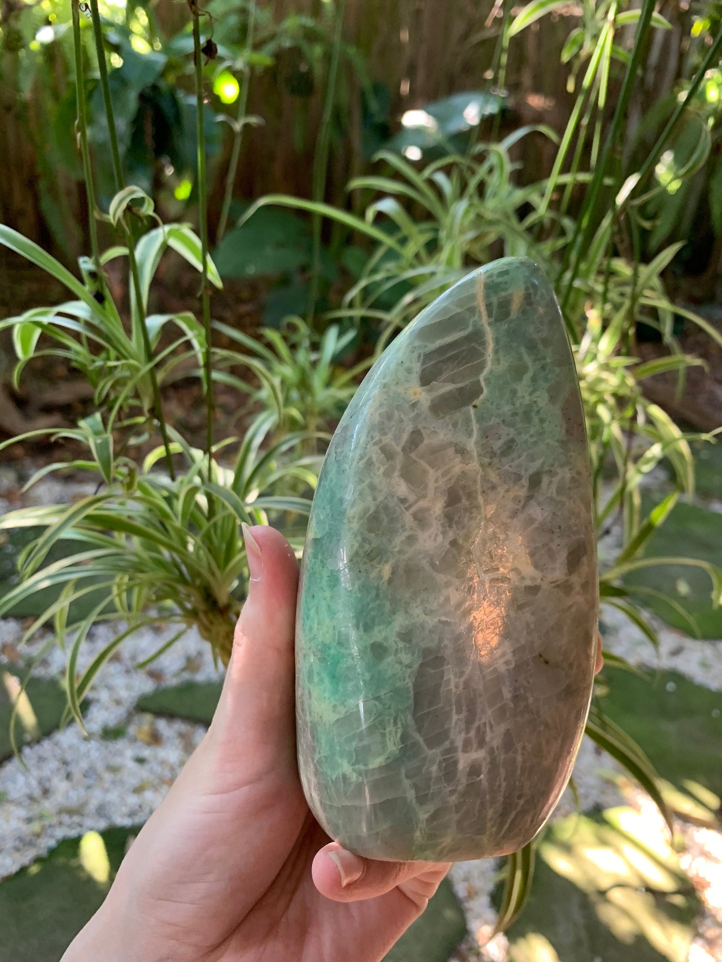 Polished Pale Green Garnierite Free Form 975g 2lbs 2.4oz From Madagascar Specimen
