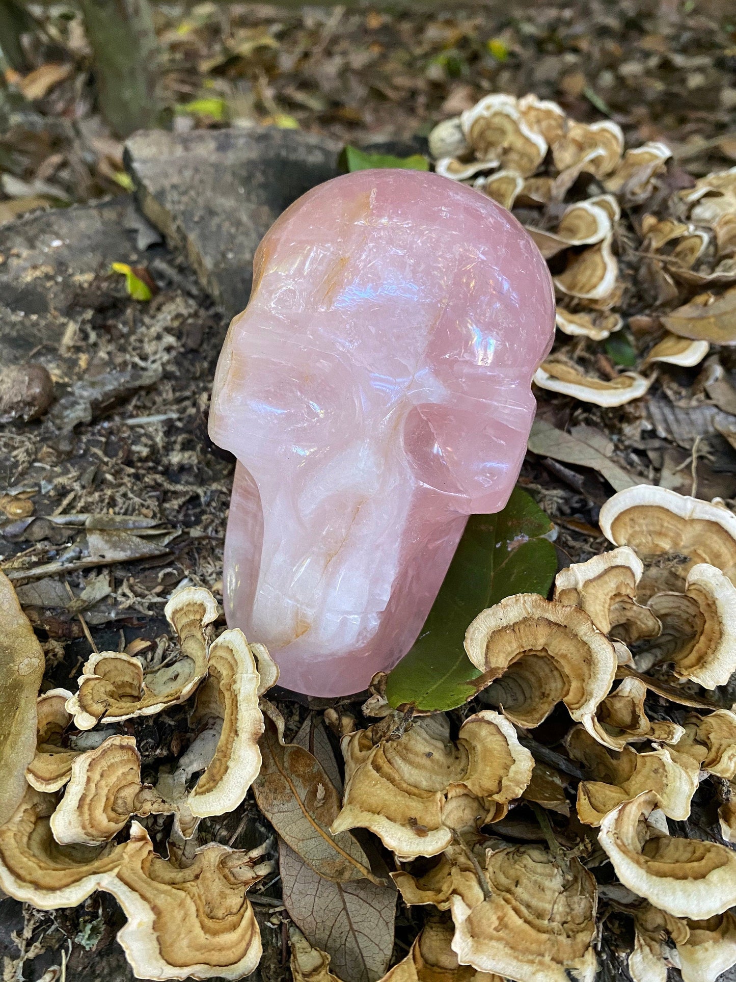 Polished Rose Quartz Skull, From Minas Gerais, Brazil, 845g 1lb 13.8oz Crystal, Specimen