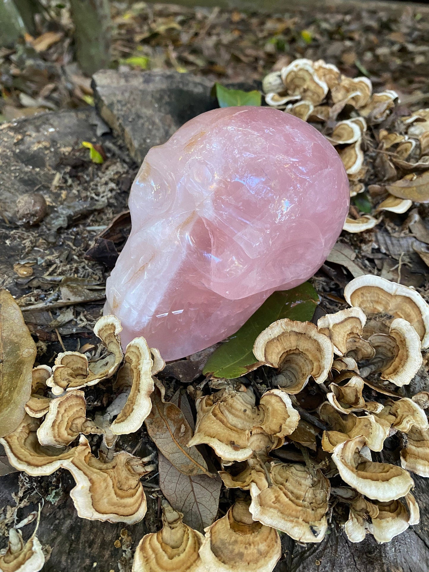 Polished Rose Quartz Skull, From Minas Gerais, Brazil, 845g 1lb 13.8oz Crystal, Specimen
