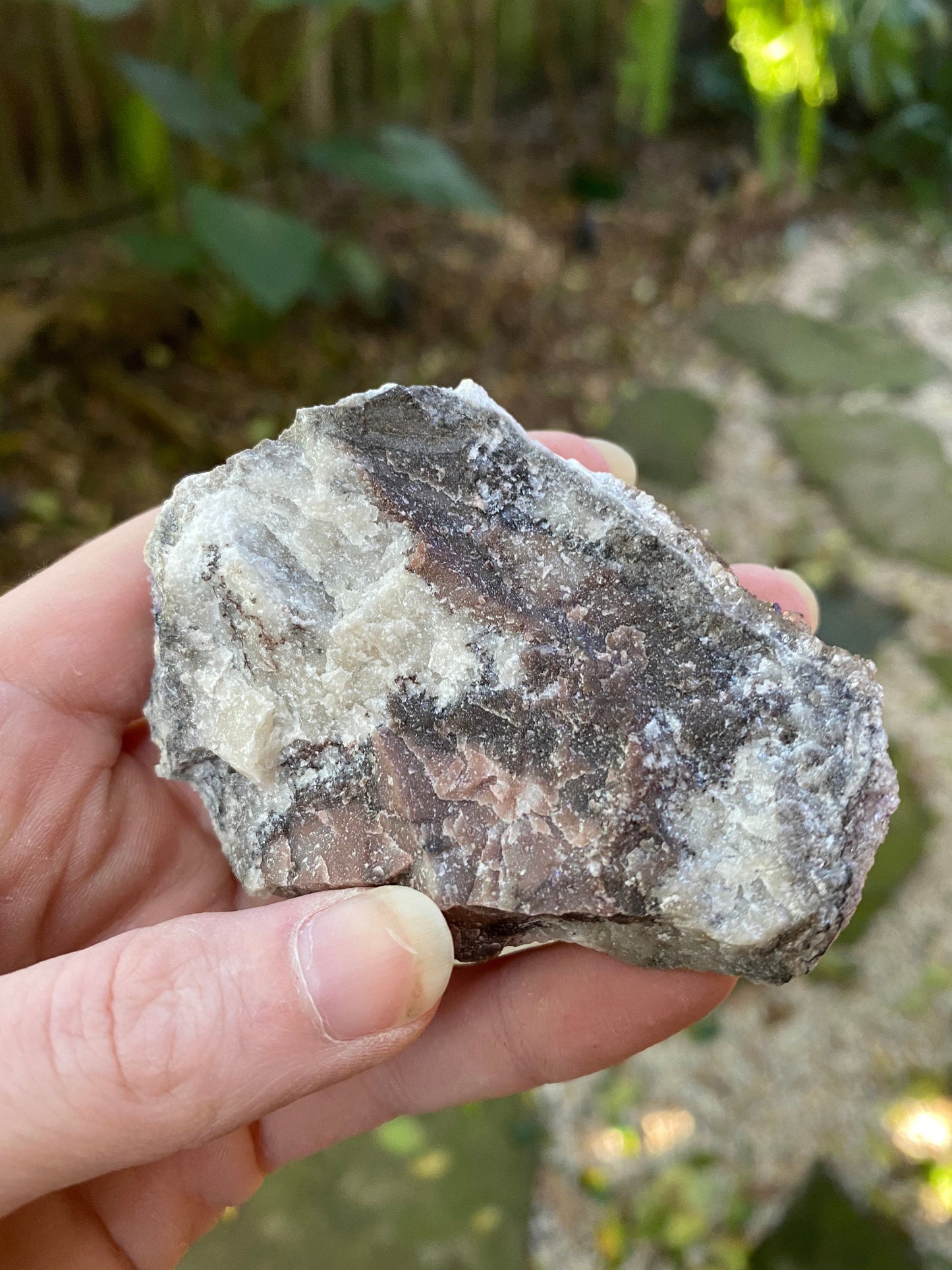 Purple Fluorite and Selenite Specimen from, Chihuahna, Mexico 100.6g Specimen
