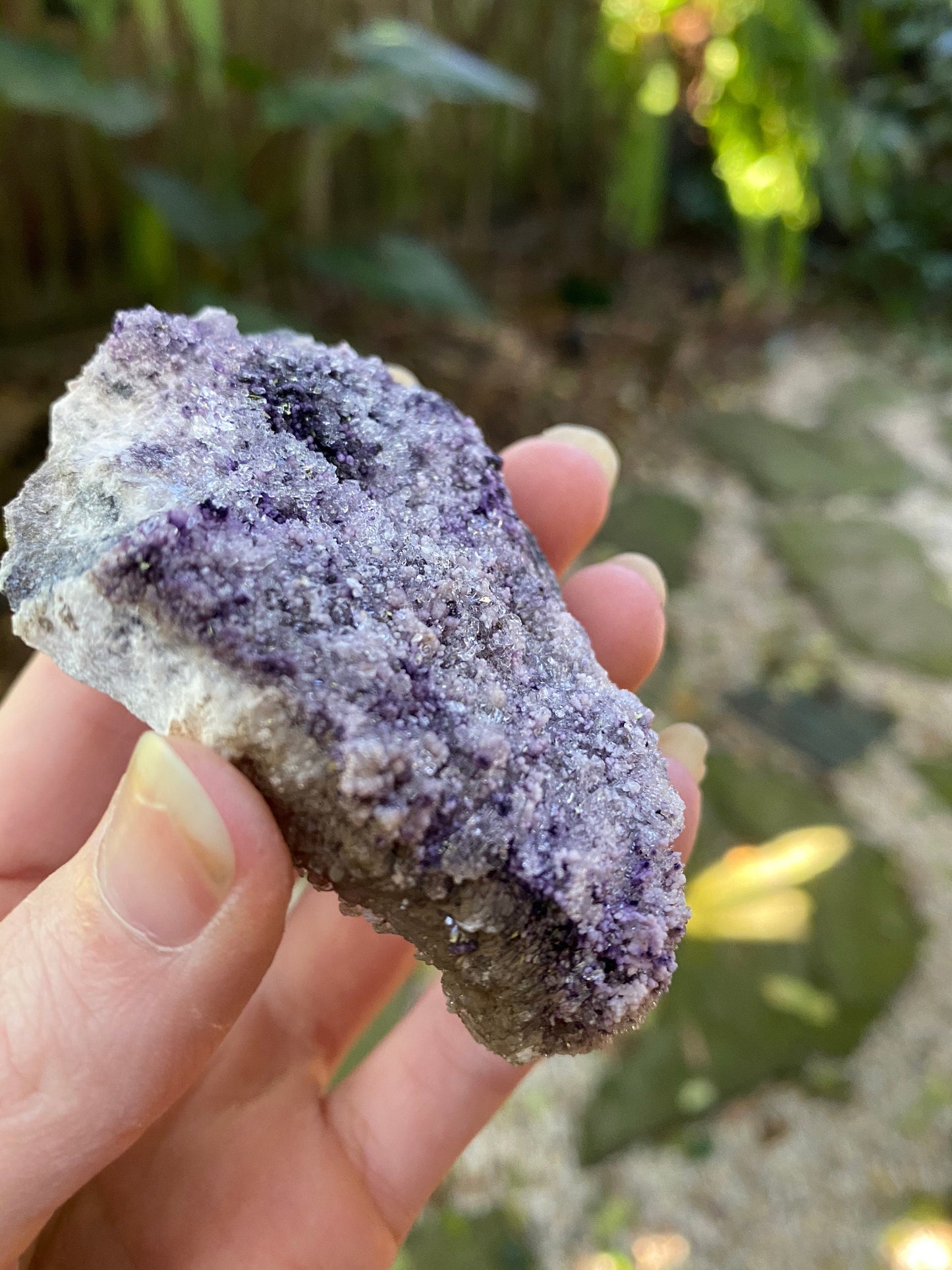 Purple Fluorite and Selenite Specimen from, Chihuahna, Mexico 100.6g Specimen