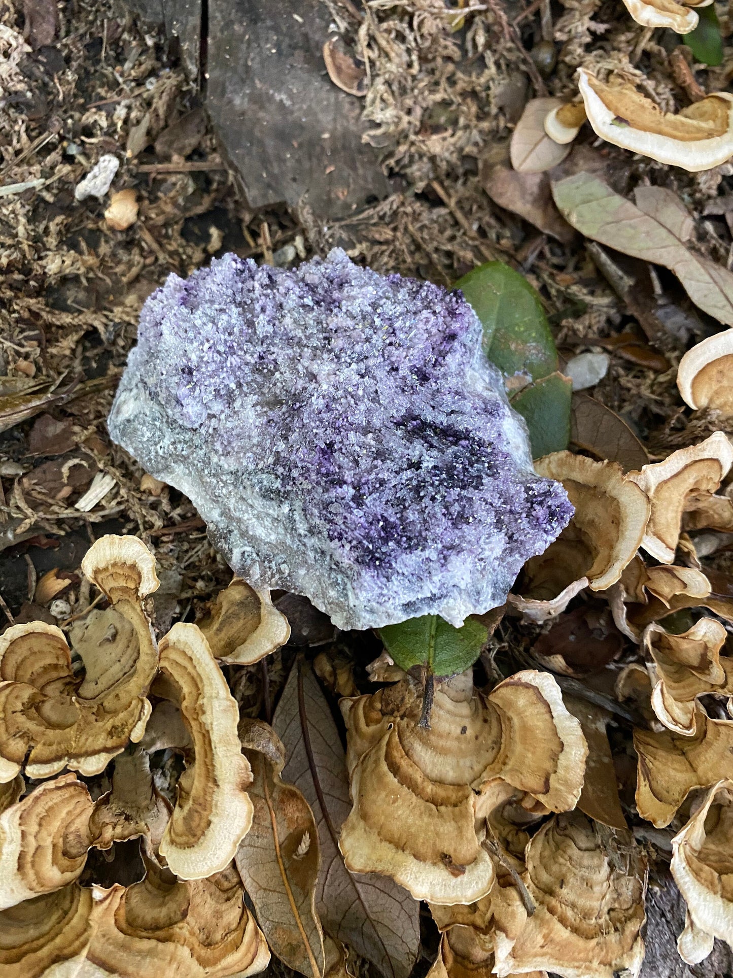 Purple Fluorite and Selenite Specimen from, Chihuahna, Mexico 100.6g Specimen