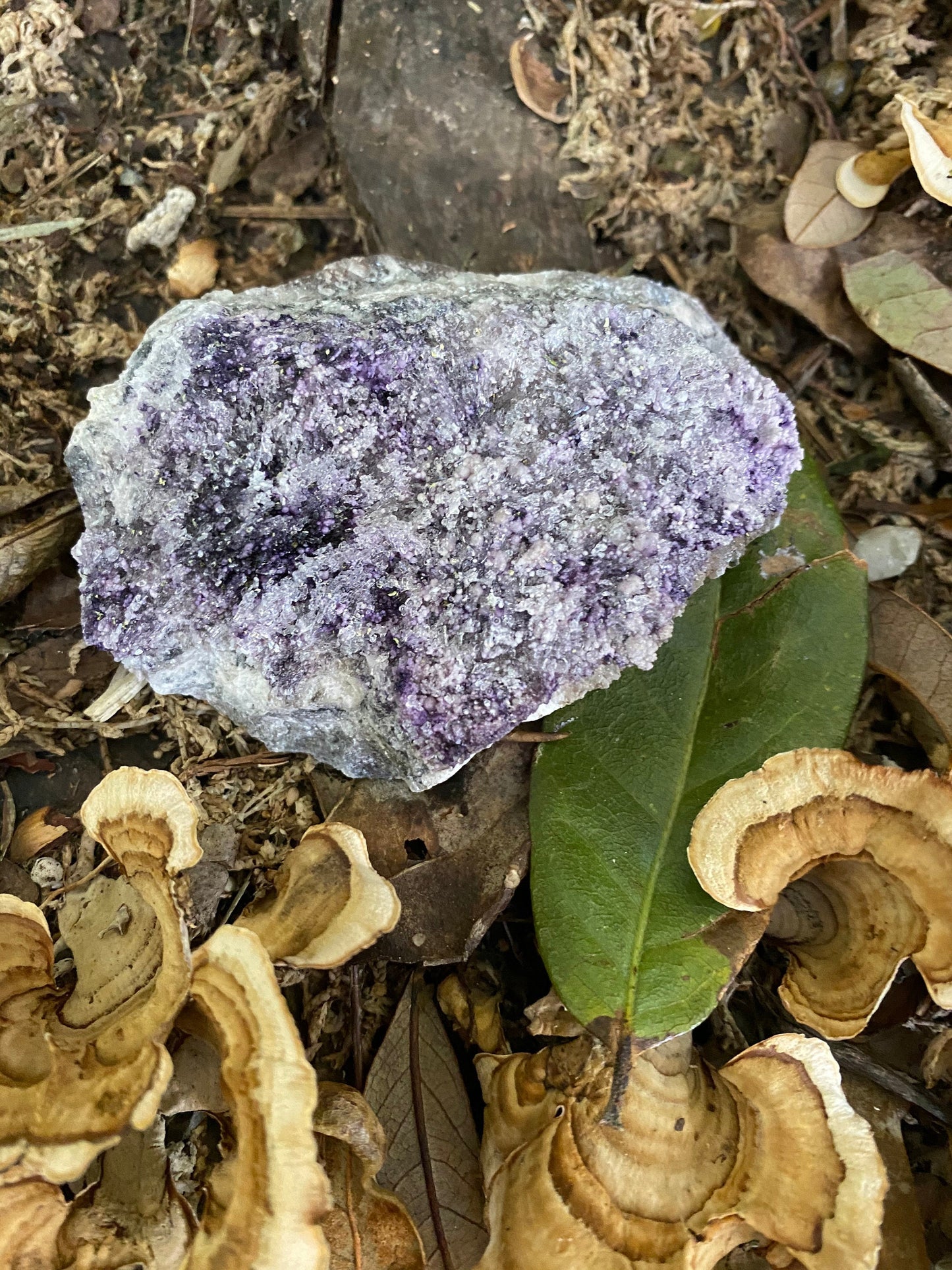 Purple Fluorite and Selenite Specimen from, Chihuahna, Mexico 100.6g Specimen