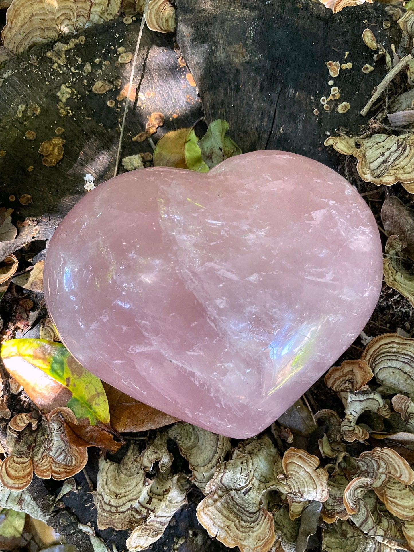Polished Rose Quartz Heart 1815g 4lbs Specimen From Madagascar