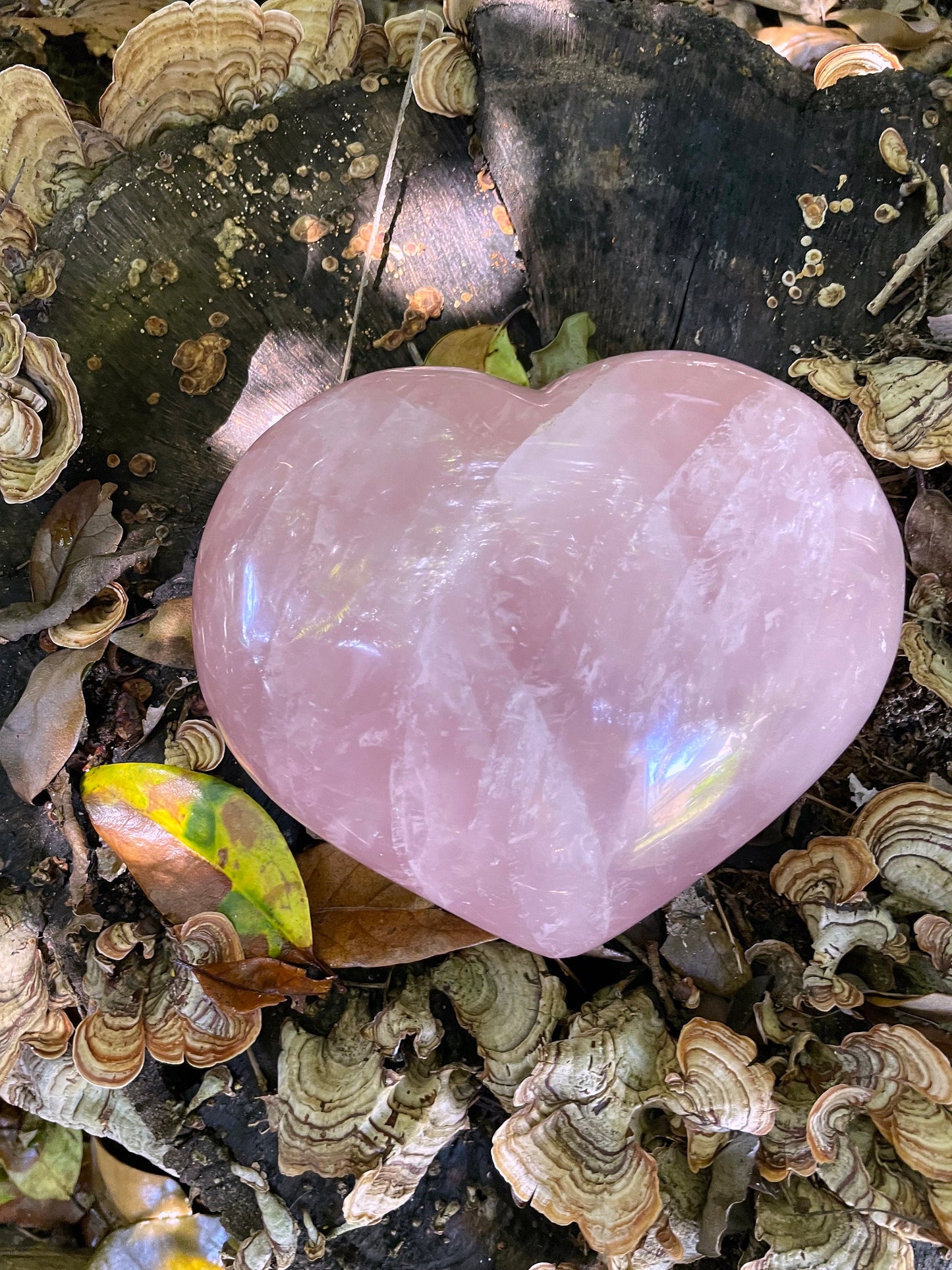 Polished Rose Quartz Heart 1815g 4lbs Specimen From Madagascar