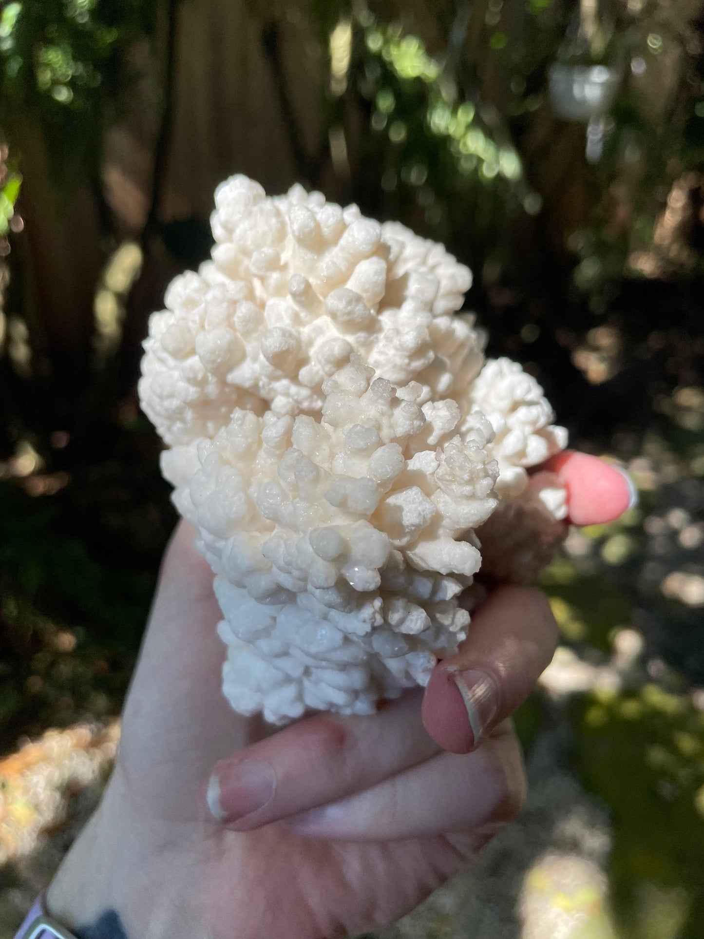 Aragonite Cave Calcite From mina potosi Chihuahua, Mexico 520g 1lb 2.3oz Specimen