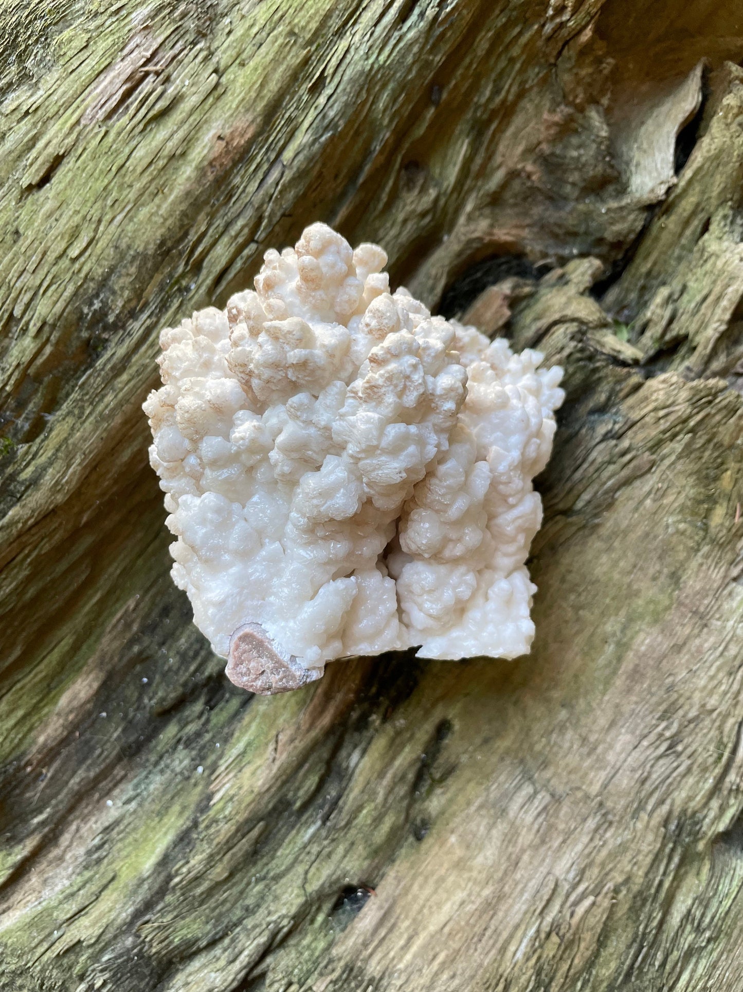 Aragonite Cave Calcite From mina potosi Chihuahua, Mexico 520g 1lb 2.3oz Specimen