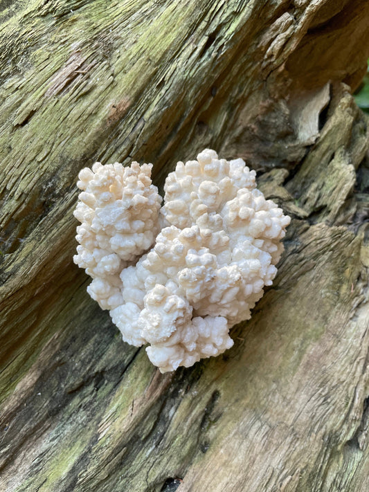 Aragonite Cave Calcite From mina potosi Chihuahua, Mexico 520g 1lb 2.3oz Specimen