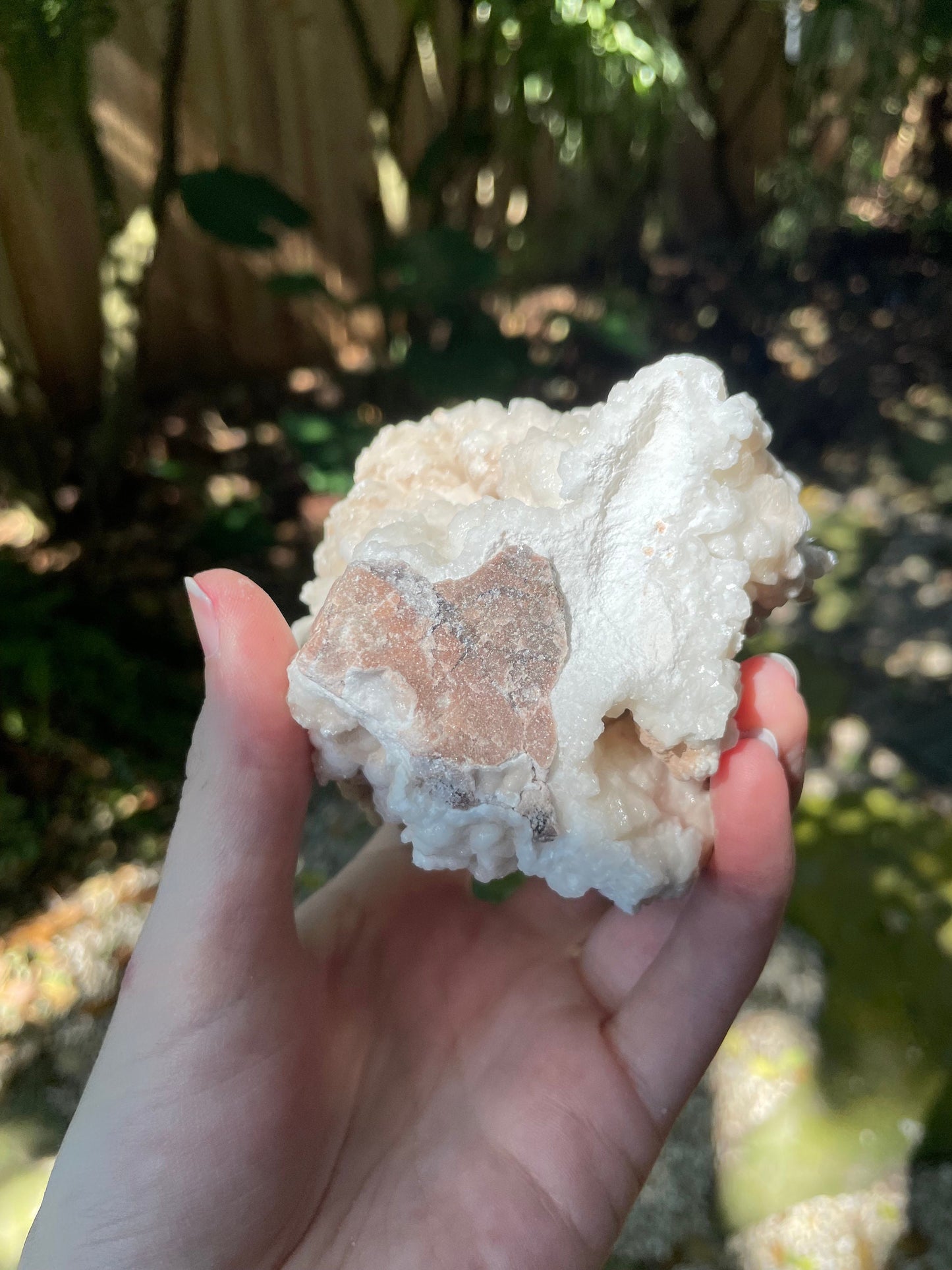 Aragonite Cave Calcite From mina potosi Chihuahua, Mexico 520g 1lb 2.3oz Specimen