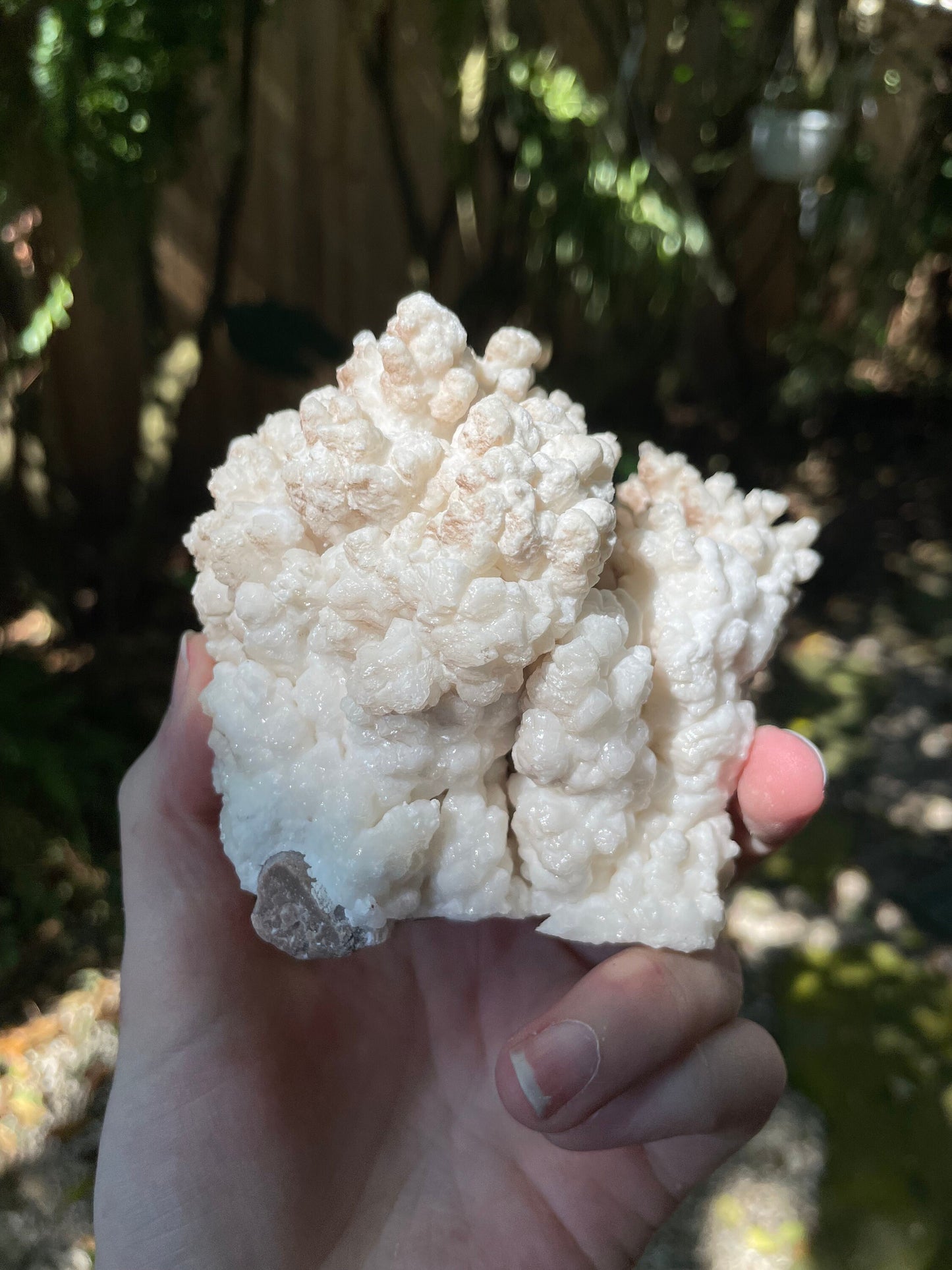 Aragonite Cave Calcite From mina potosi Chihuahua, Mexico 520g 1lb 2.3oz Specimen