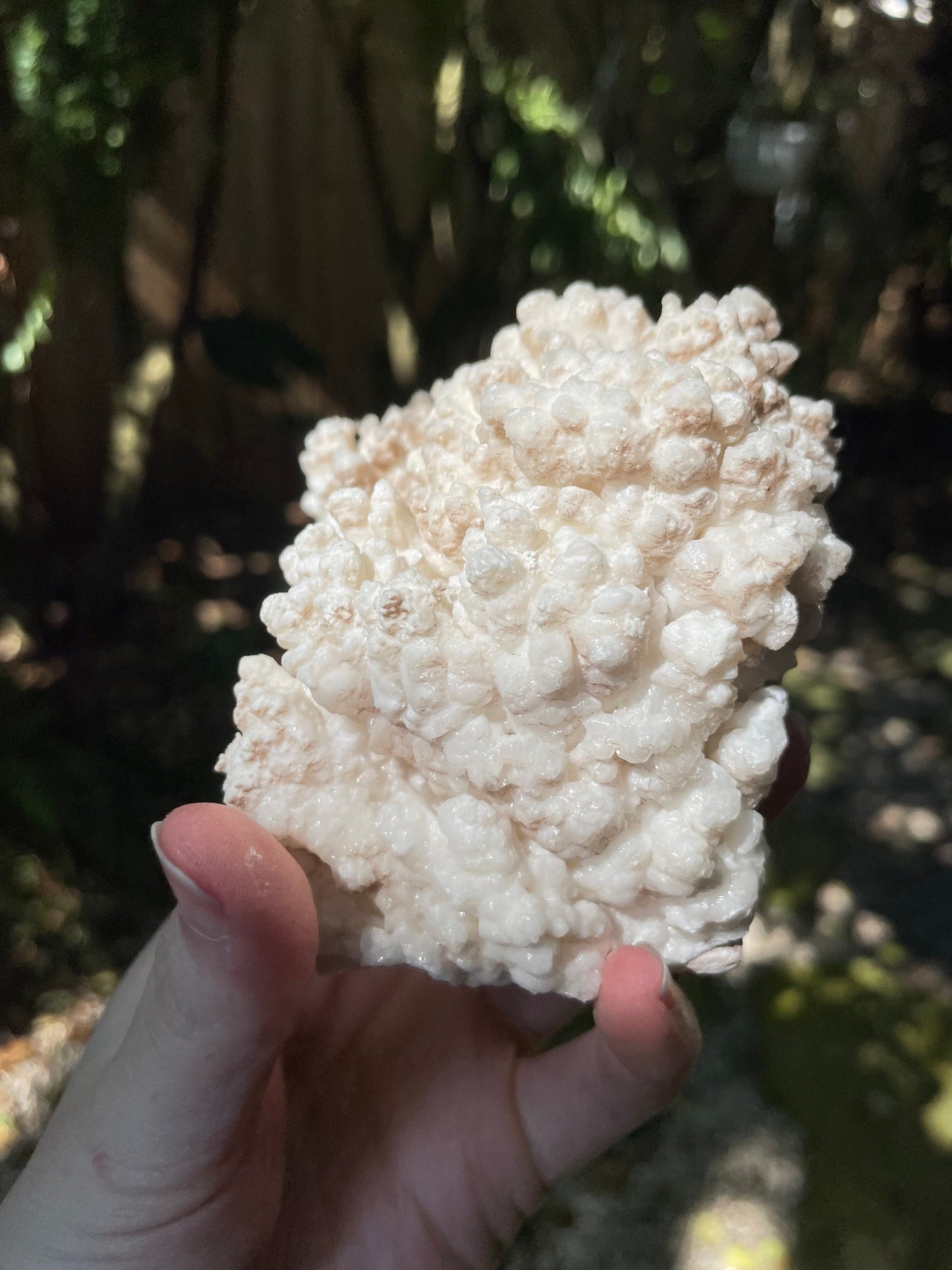 Aragonite Cave Calcite From mina potosi Chihuahua, Mexico 520g 1lb 2.3oz Specimen
