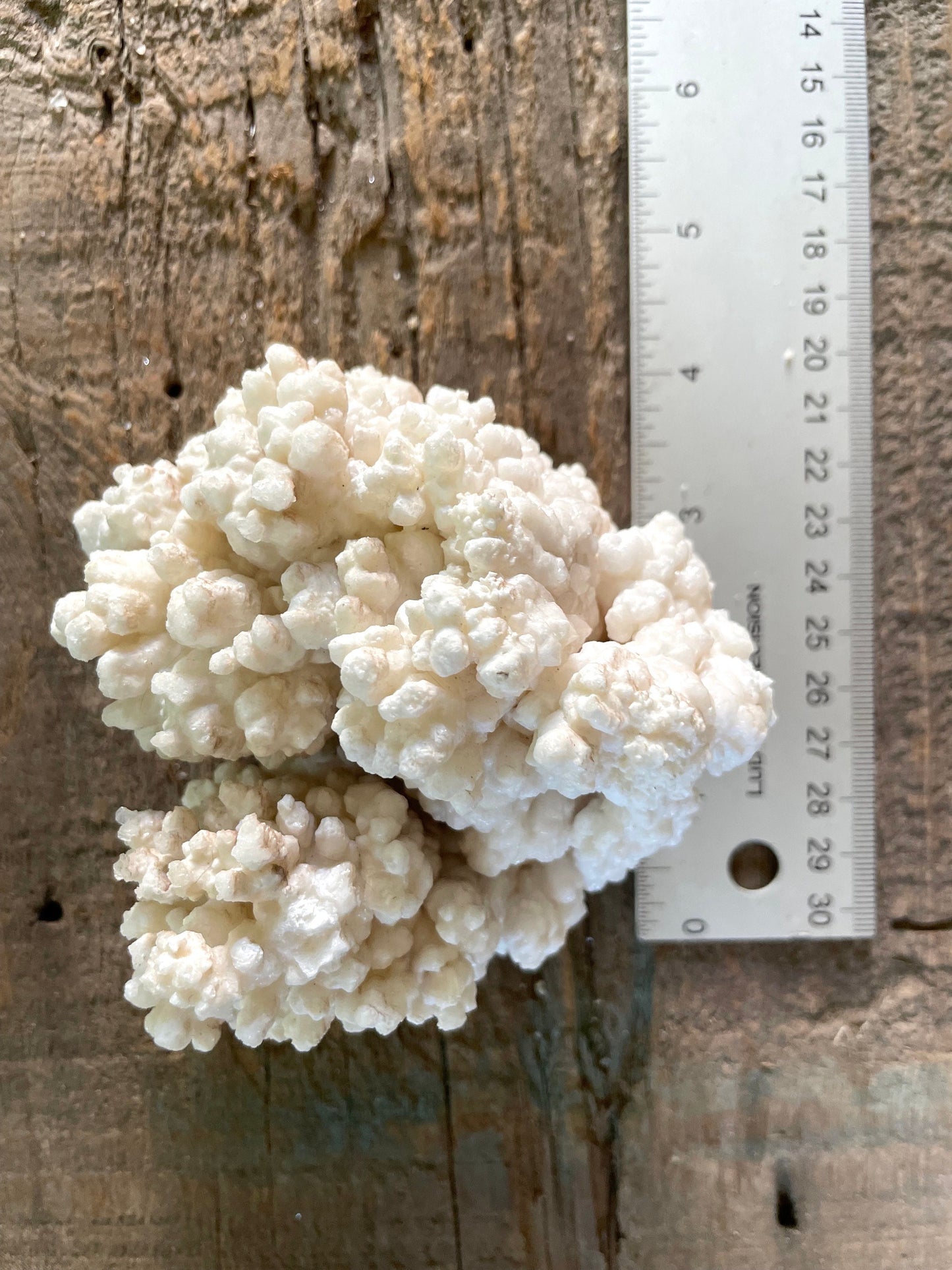 Aragonite Cave Calcite From mina potosi Chihuahua, Mexico 520g 1lb 2.3oz Specimen