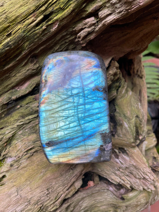 Polished Labradorite Freestanding Display Stone 600g 1lb 5.1o From Madagascar Great Flash!