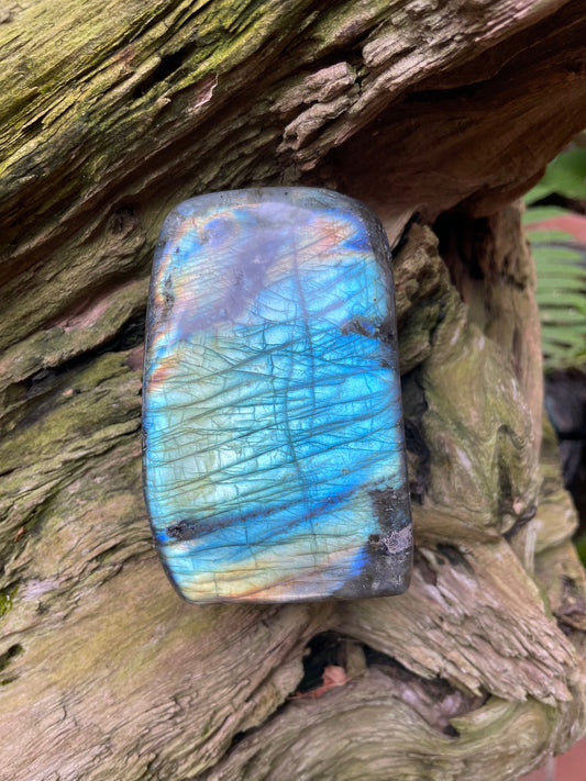 Large Polished Labradorite Freestanding Display Stone 600g 1lb 5.1o From Madagascar Great Flash!