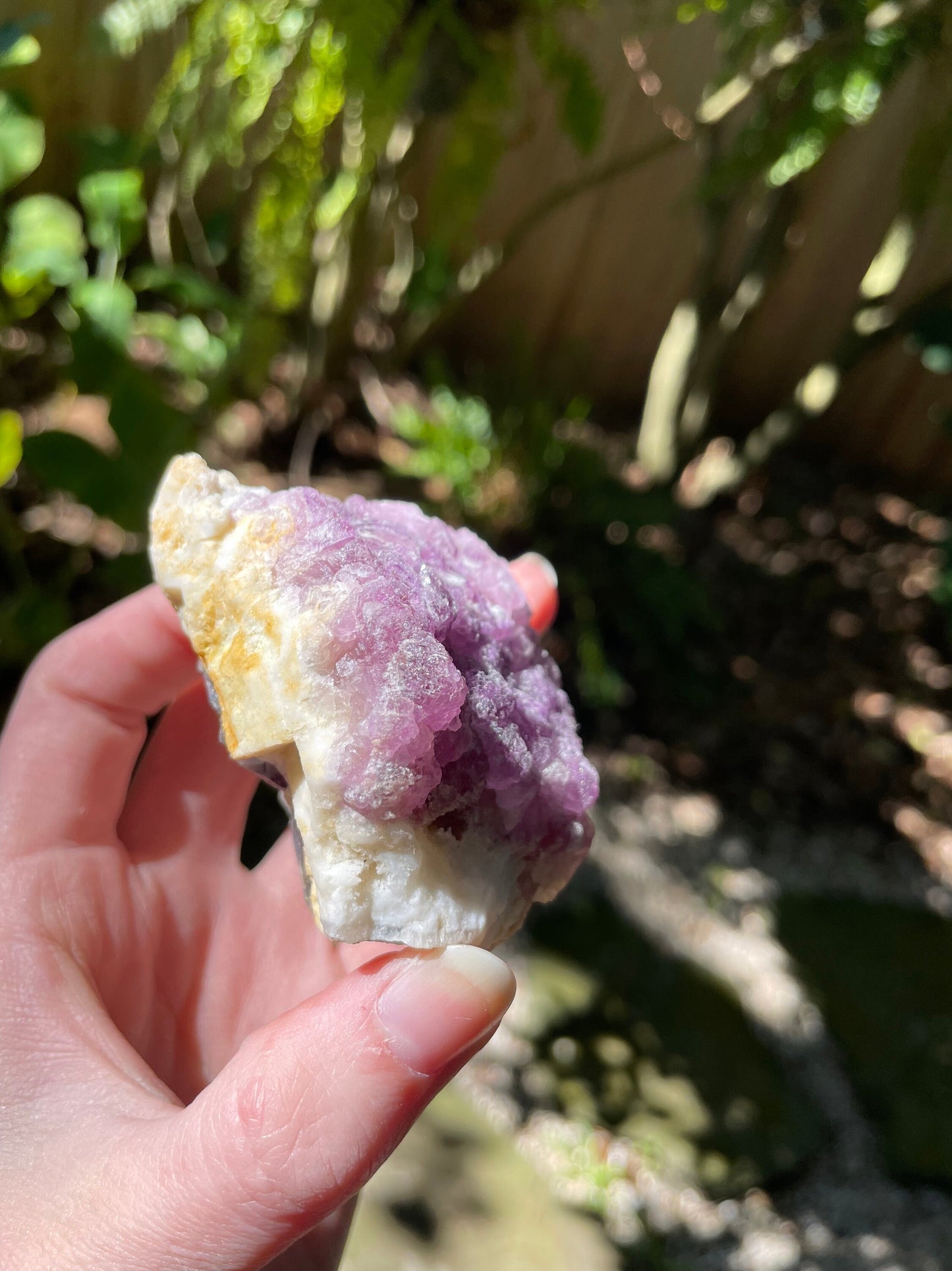 Purple Fluorite 239.2g Specimen from Durango, Mexico Specimen Crystal Mineral