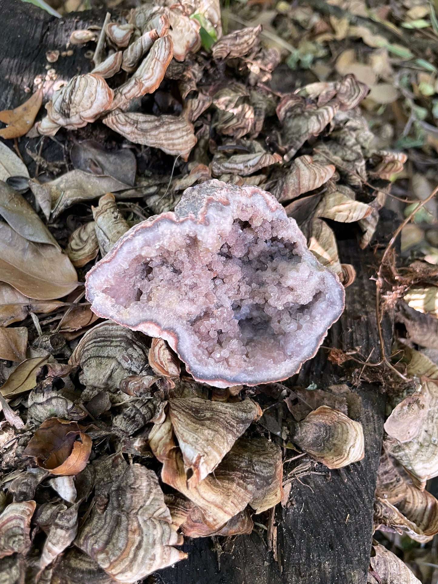 Rare Pink Amethyst Specimen Geode, From Patagonia 156g