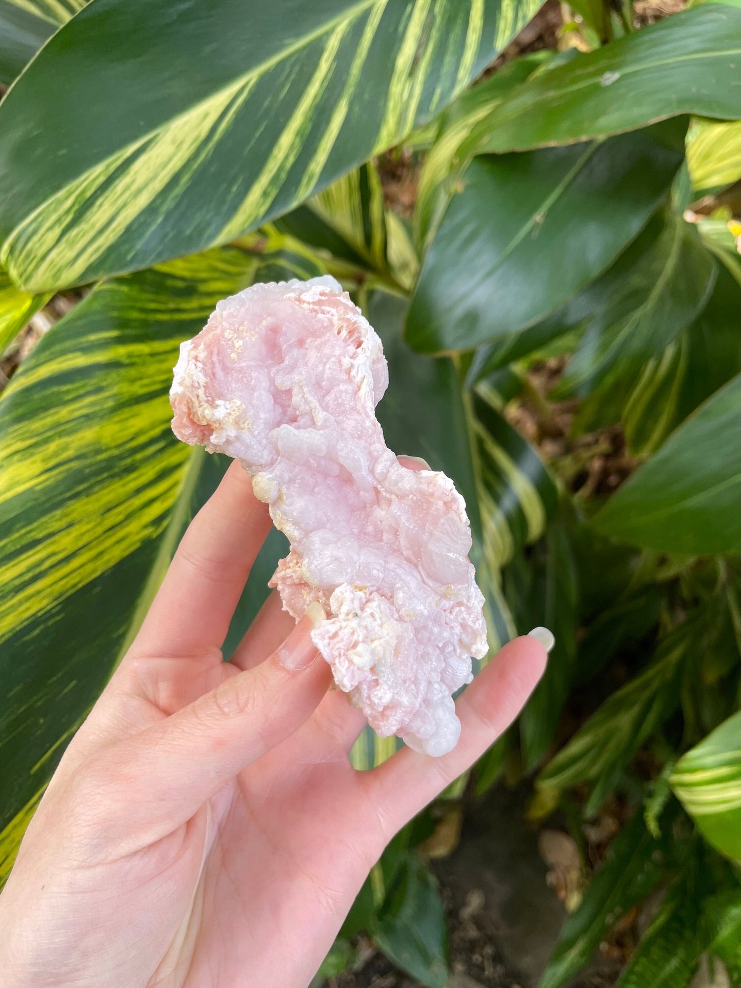 Beautiful Botryoidal Natural Pink Opal from Ica, Peru Specimen 133.4g