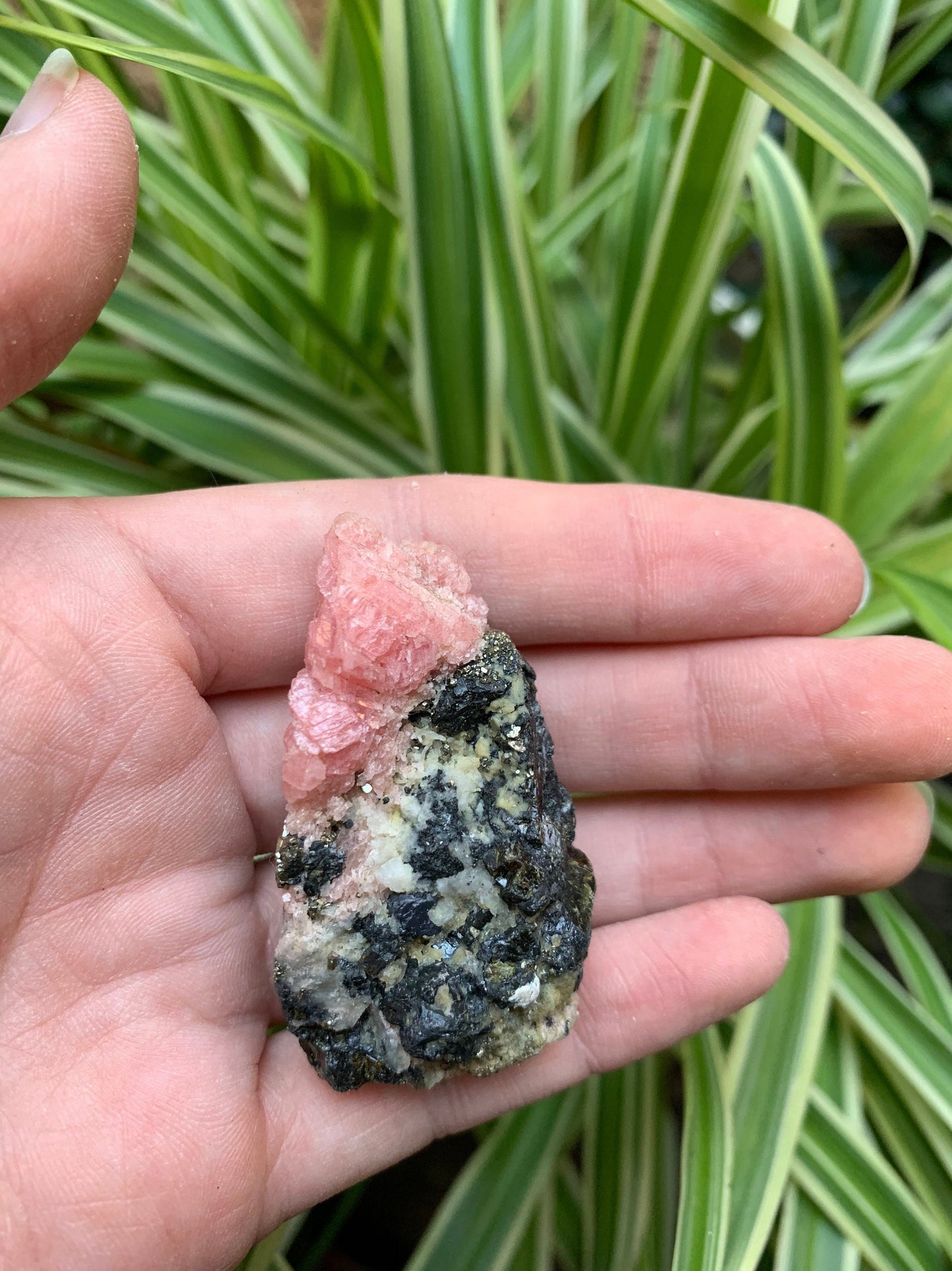 Rhodochrosite With Quartz and Pyrite 50.5g From Wuzhou, Guangxi Privinece, China Specimen