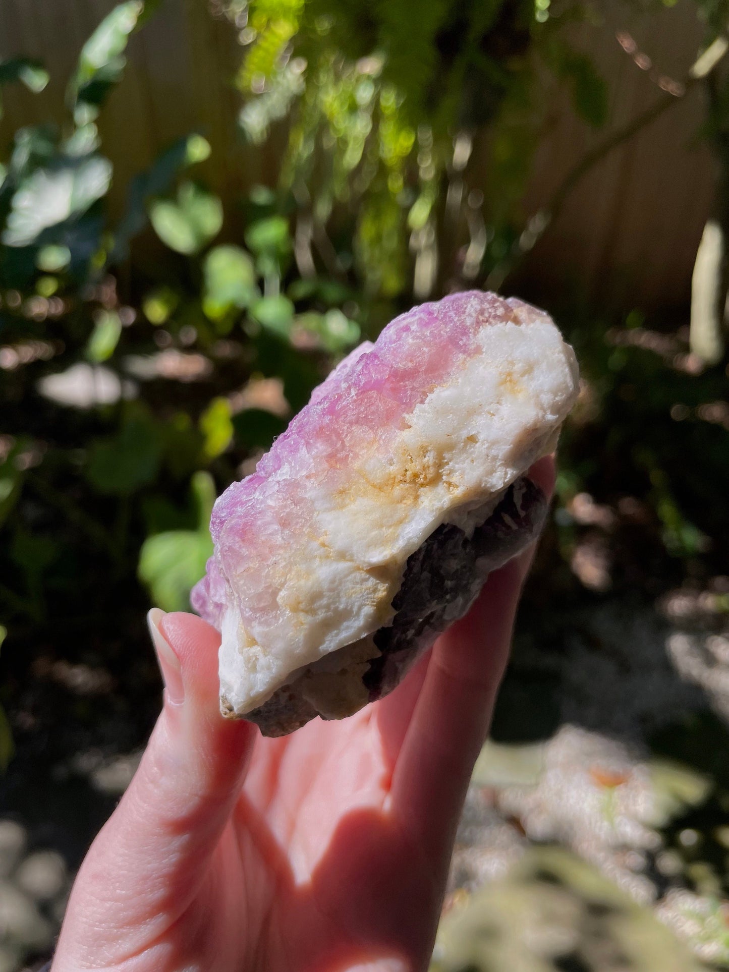 Purple Fluorite 239.2g Specimen from Durango, Mexico Specimen Crystal Mineral