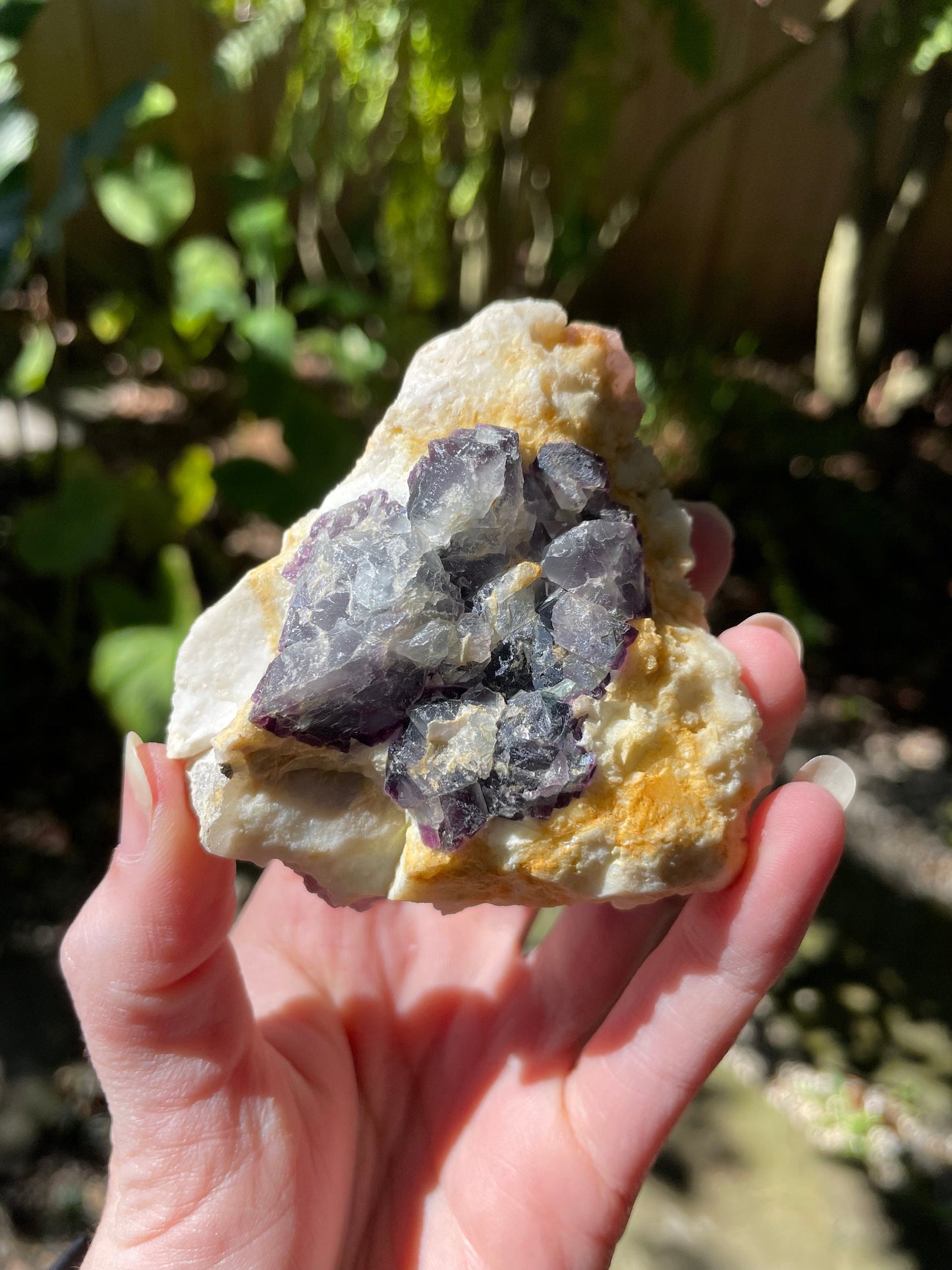 Purple Fluorite 239.2g Specimen from Durango, Mexico Specimen Crystal Mineral
