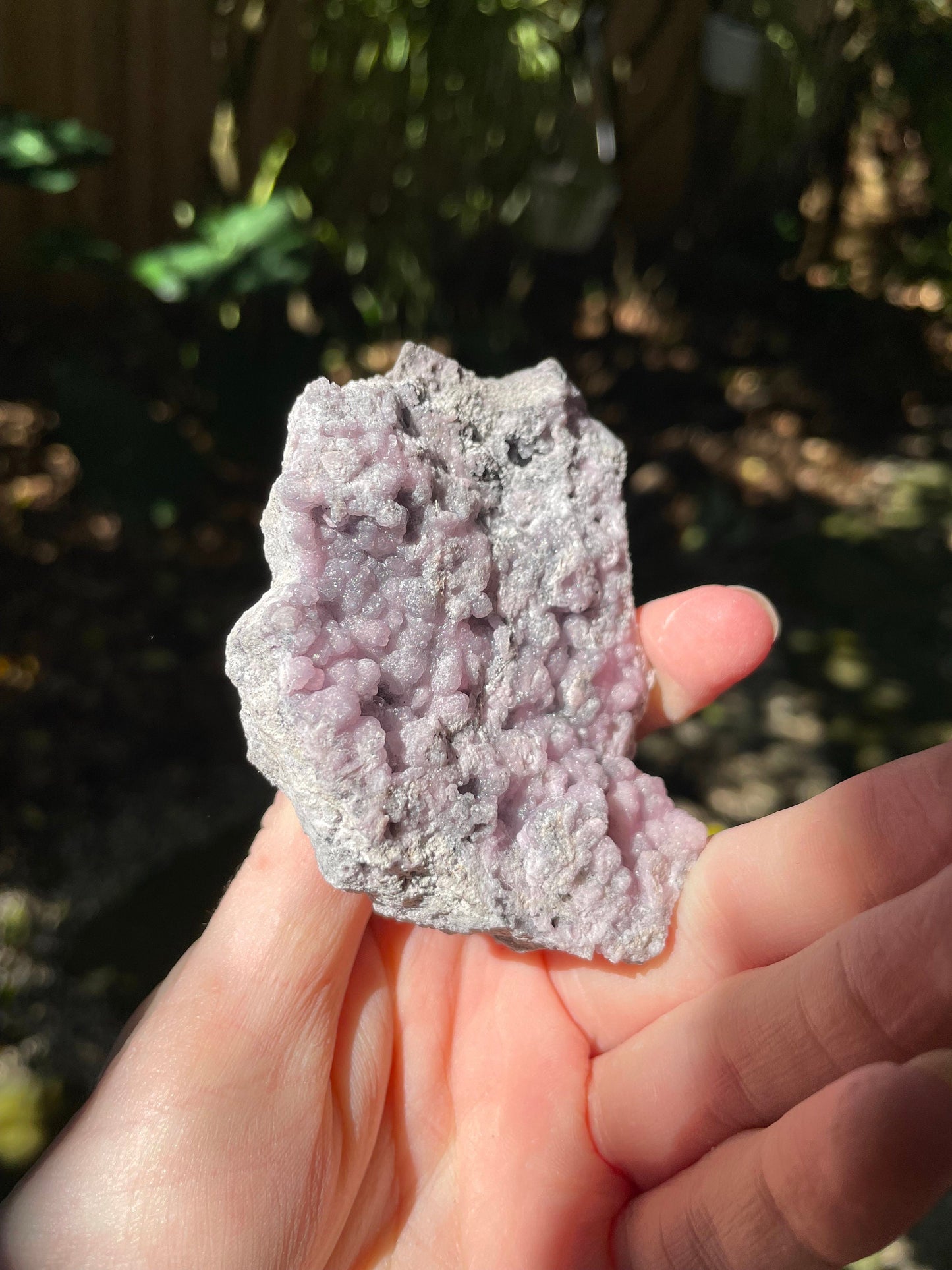 Light Pink and Purple Botryoidal Smithsonite 195.4 Specimen from Choix Sinaloa Mexico