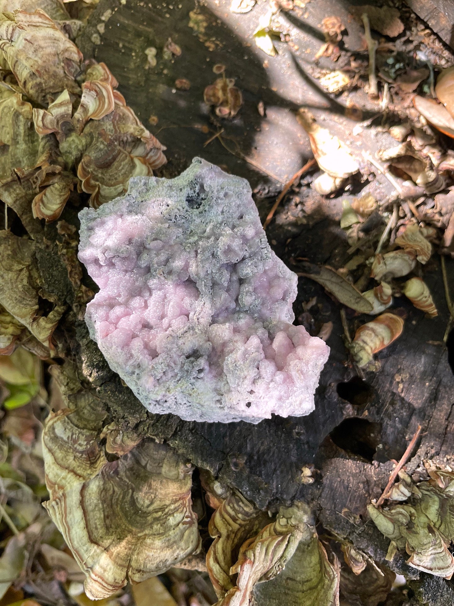 Light Pink and Purple Botryoidal Smithsonite 195.4 Specimen from Choix Sinaloa Mexico