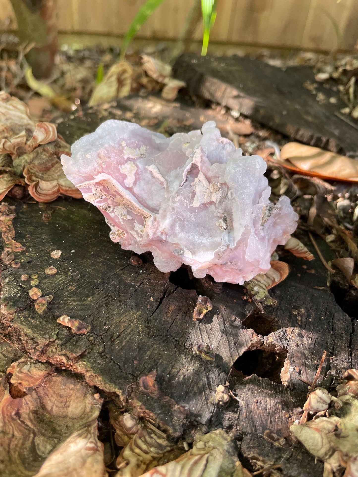 Beautiful Natural Pink Opal from Ica, Peru Specimen 129.2g Mineral