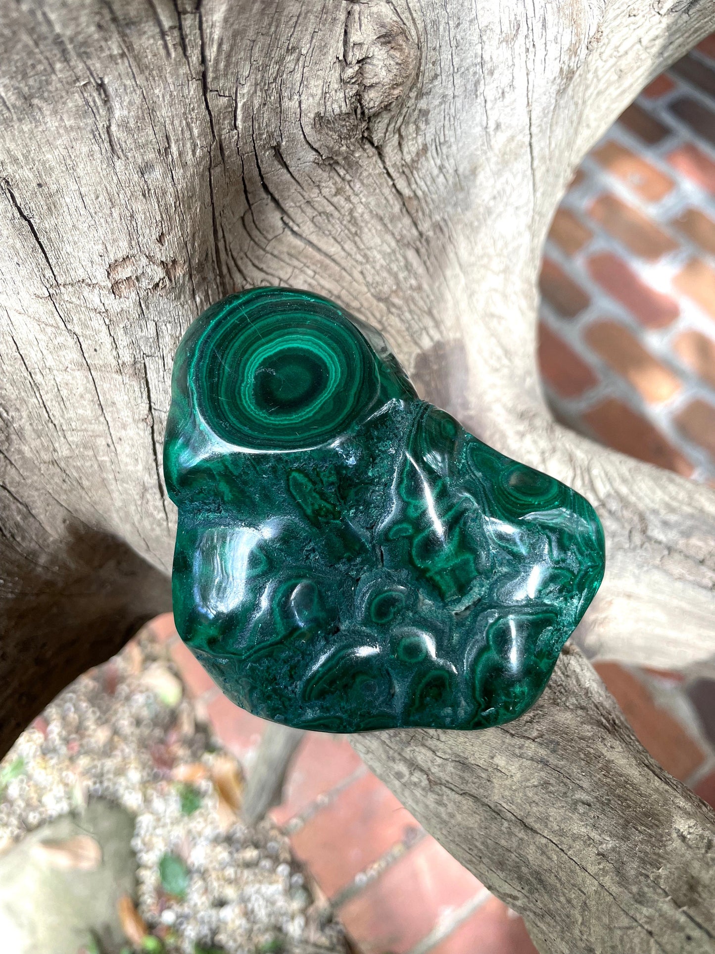 Half Polished Malachite 194g Specimen from The Congo 302g Mineral Crystal