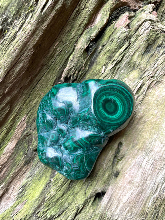 Half Polished Malachite 194g Specimen from The Congo 302g Mineral Crystal