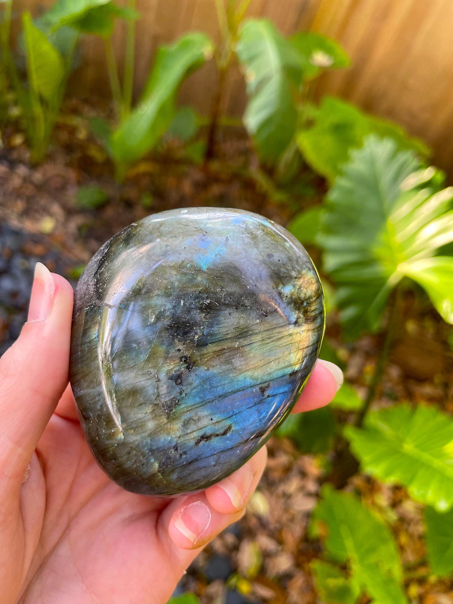 Lovely Polished Rainbow Labradorite Palm Stone 196g Rainbow Flash From Madagascar