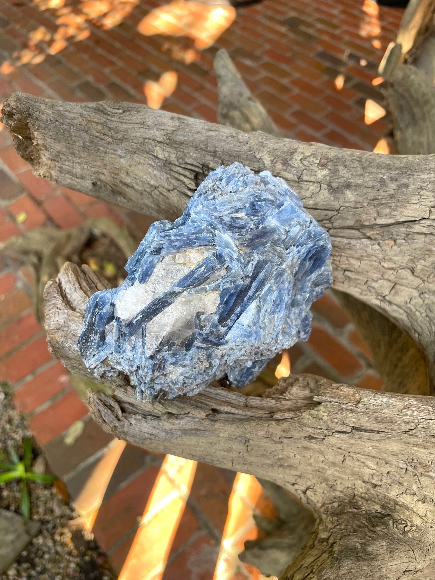 Blue Kyanite 554g From Minas Gerais Brazil Specimen, Crystals Minerals