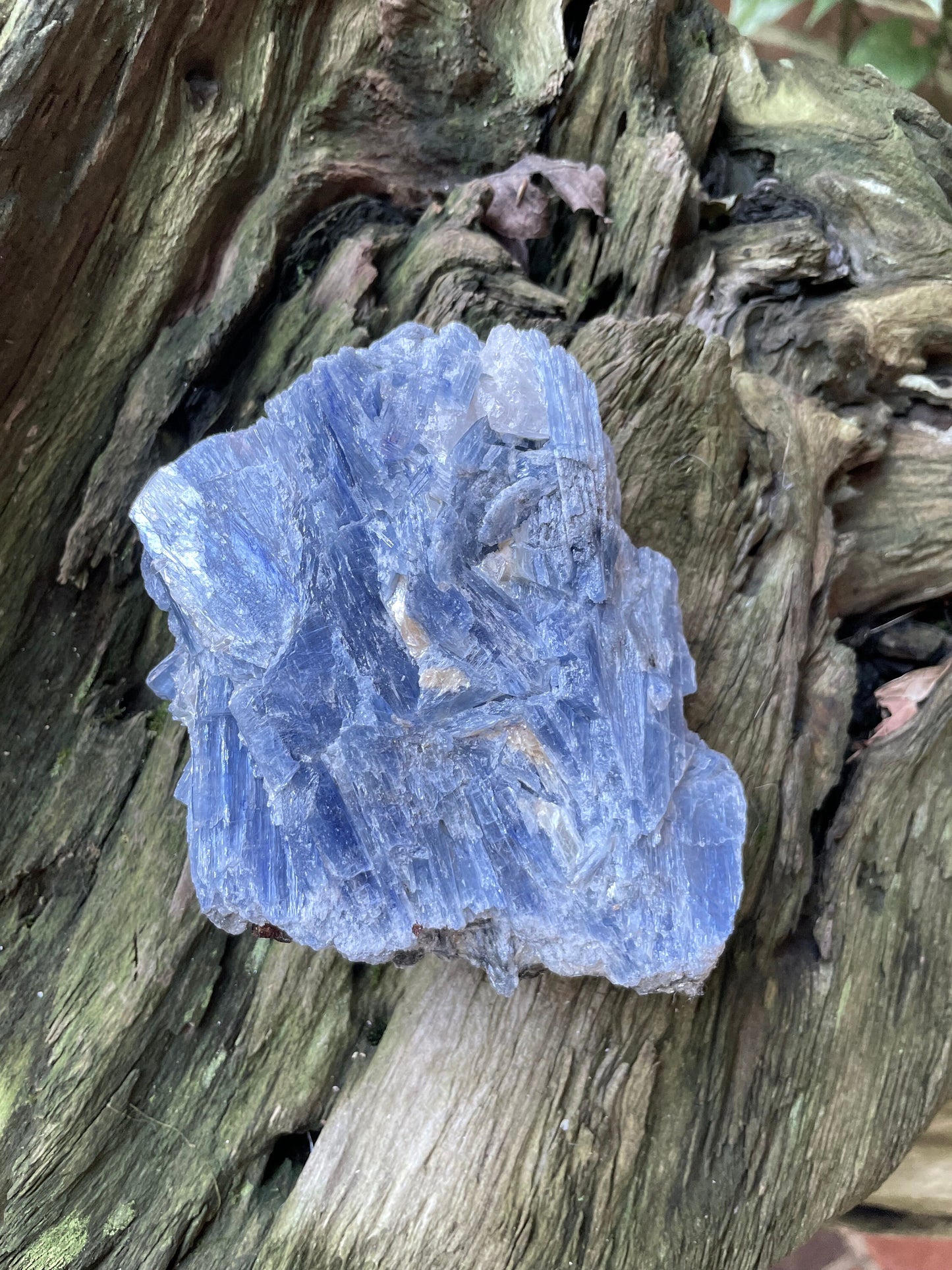Blue Kyanite 554g From Minas Gerais Brazil Specimen, Crystals Minerals