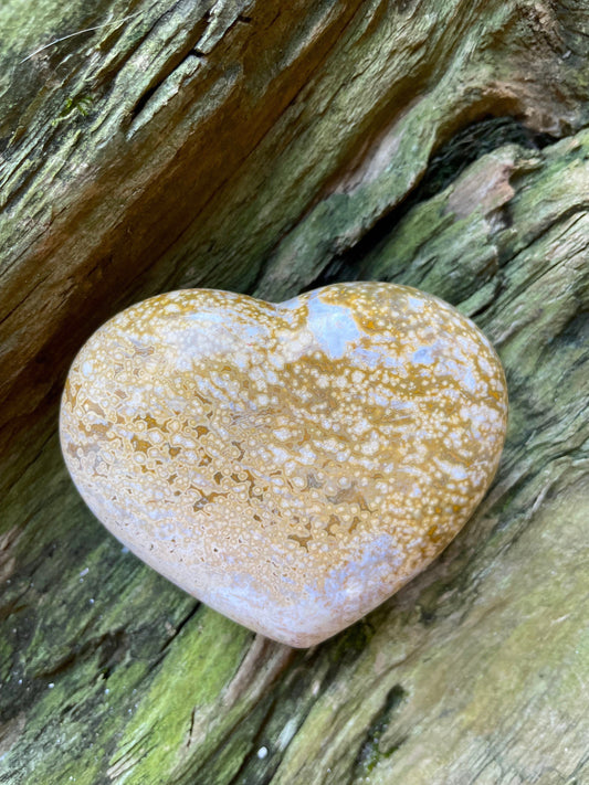 Beautiful Ocean Jasper Polished Heart Stone 218g From Madagascar