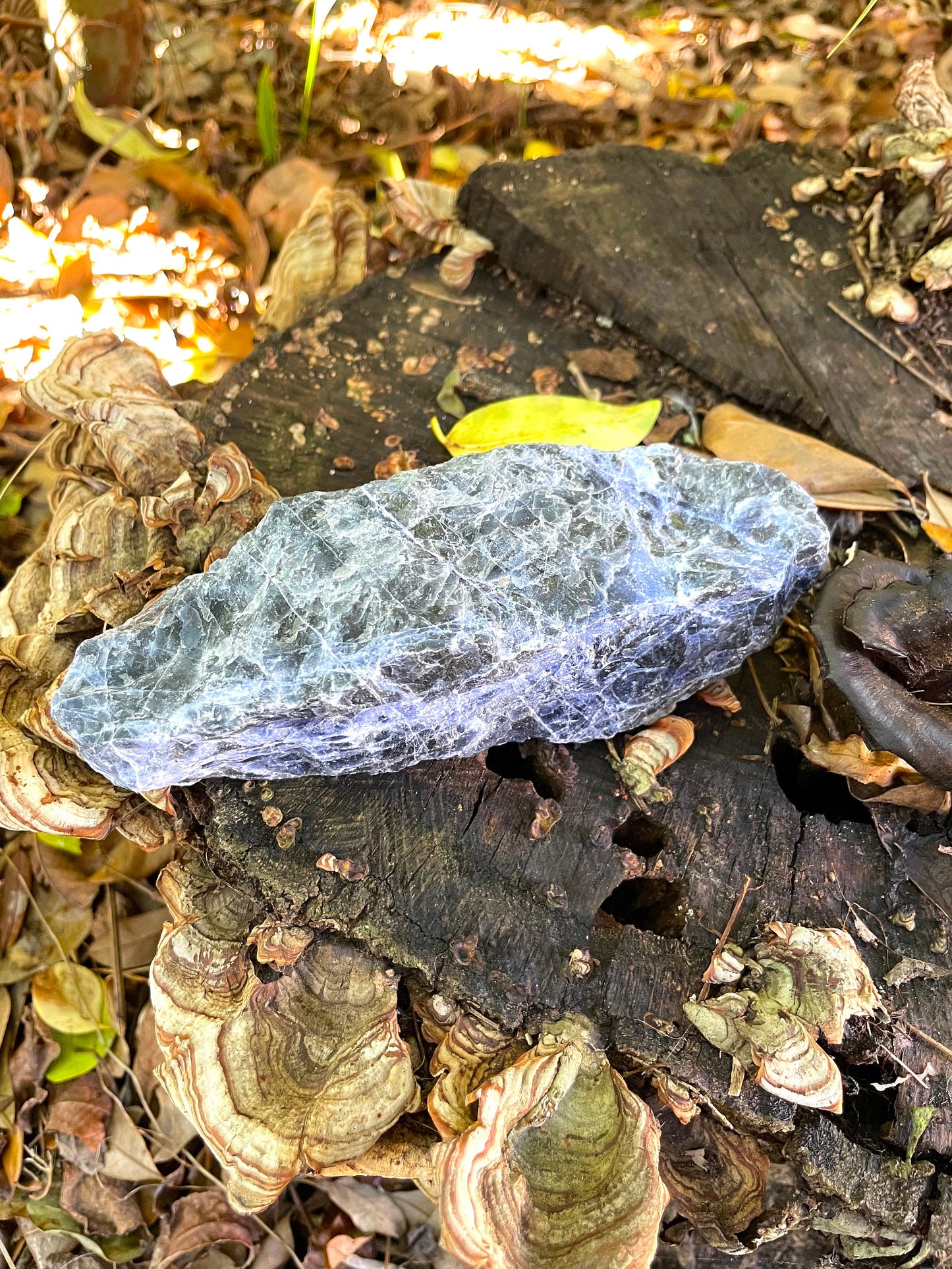 Blue Sodalite Raw Natural Crystal Specimen 354g Specimen from Brazil