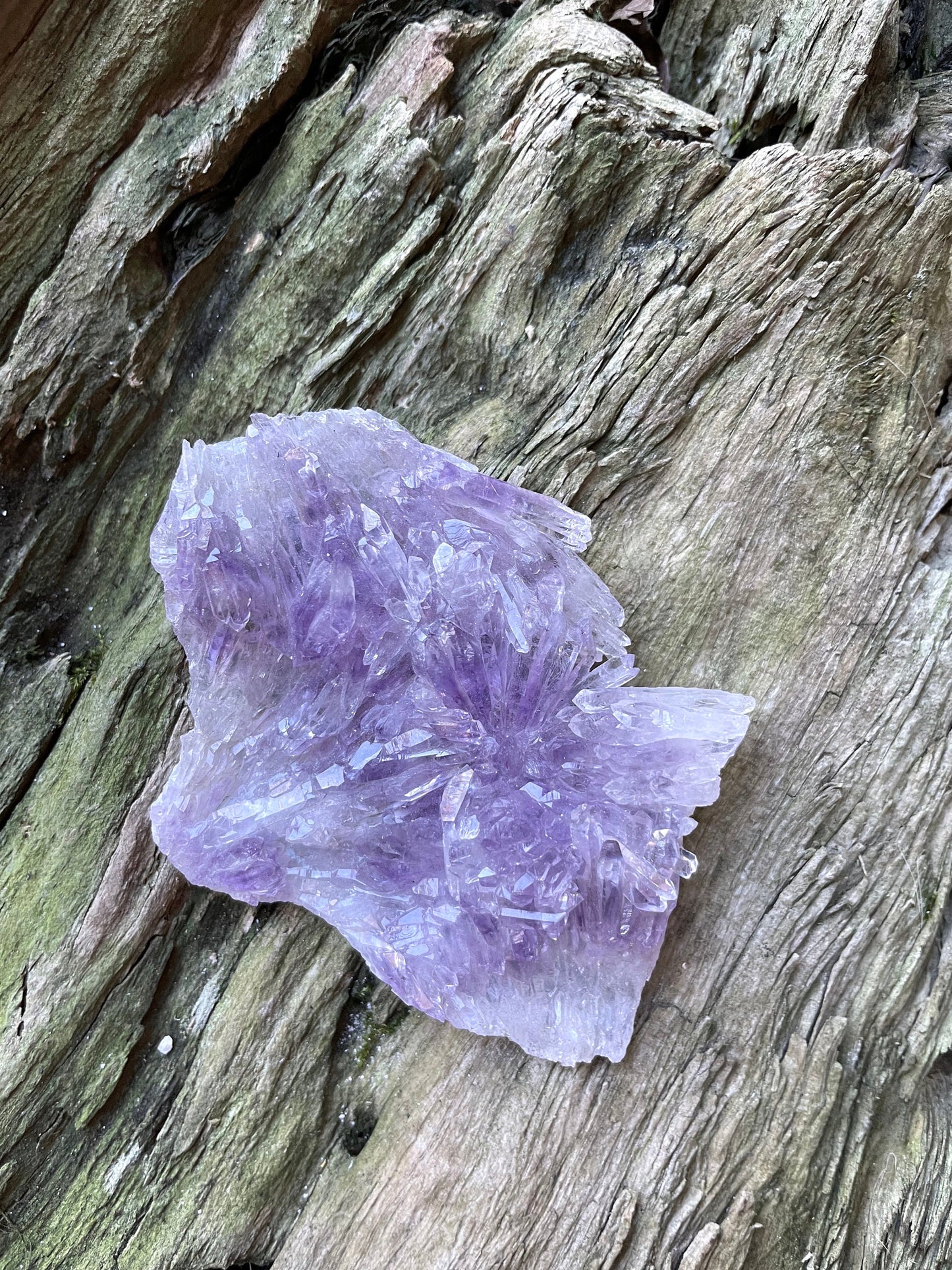 Amethyst Flower 55.3g Specimen From Rio Grande Do Sol, Brazil