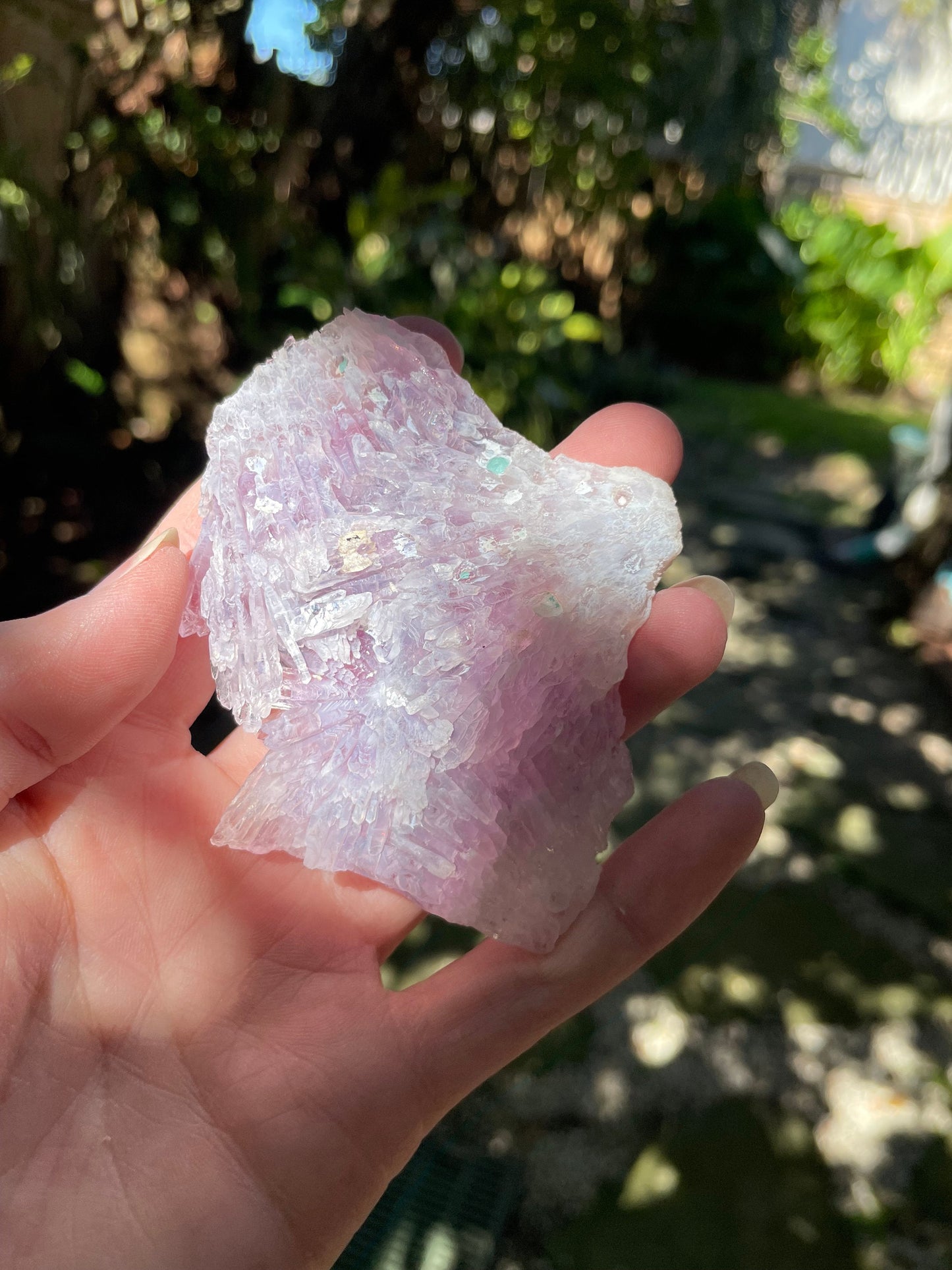 Amethyst Flower 55.3g Specimen From Rio Grande Do Sol, Brazil