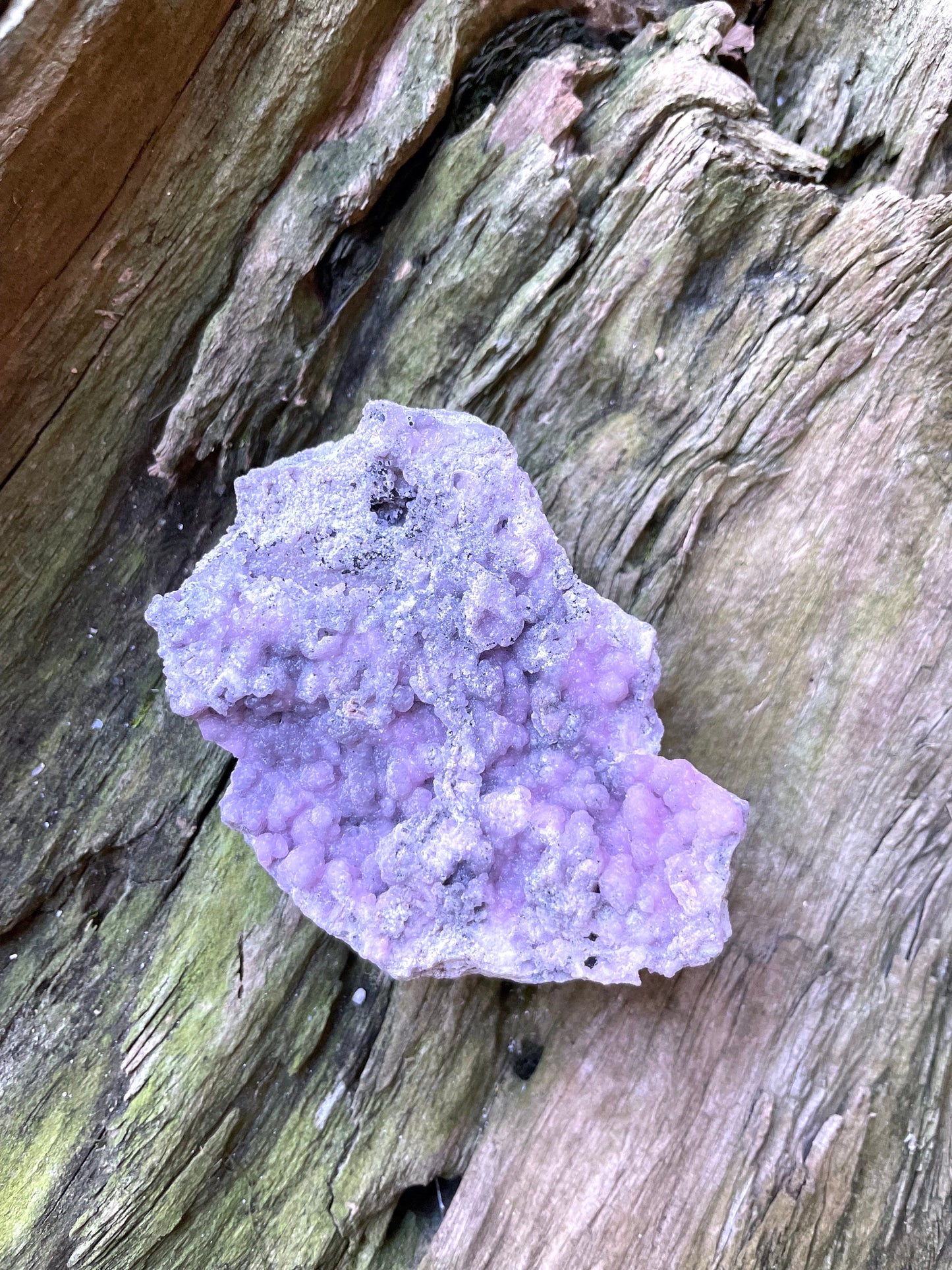 Light Pink and Purple Botryoidal Smithsonite 195.4 Specimen from Choix Sinaloa Mexico