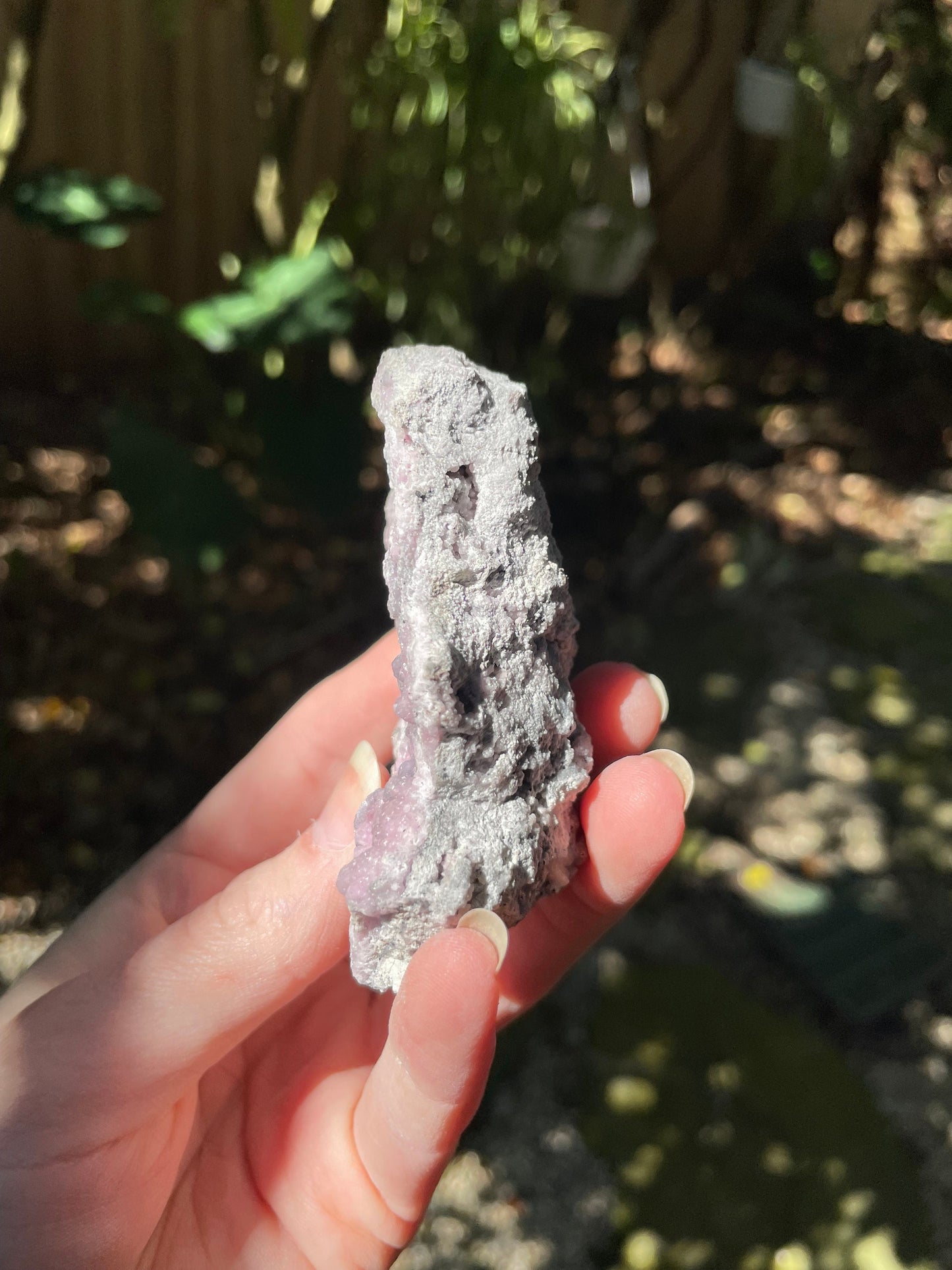 Light Pink and Purple Botryoidal Smithsonite 195.4 Specimen from Choix Sinaloa Mexico